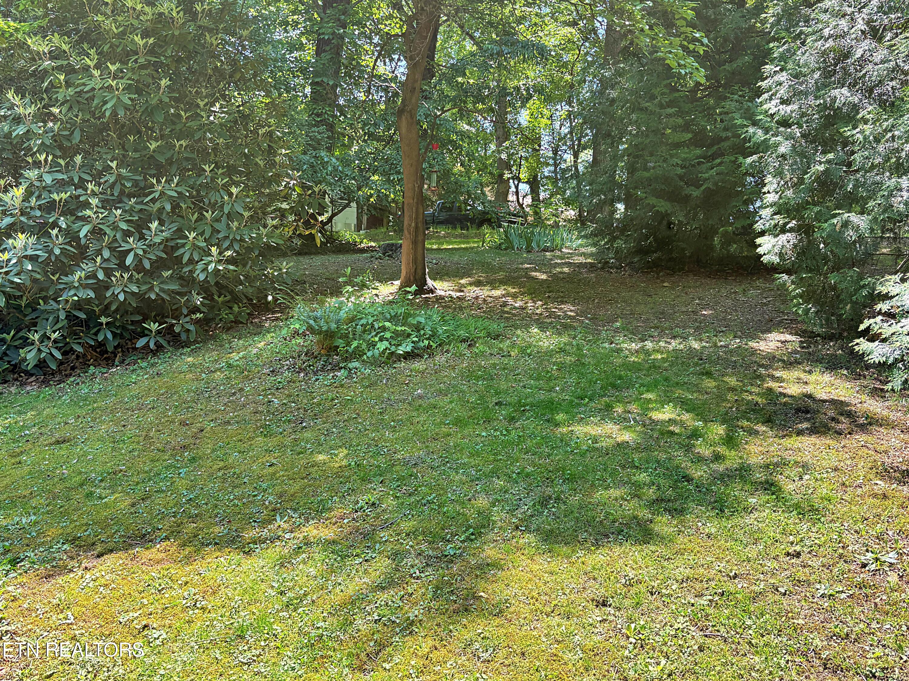 129 Jefferson Street Harrogate TN 37752