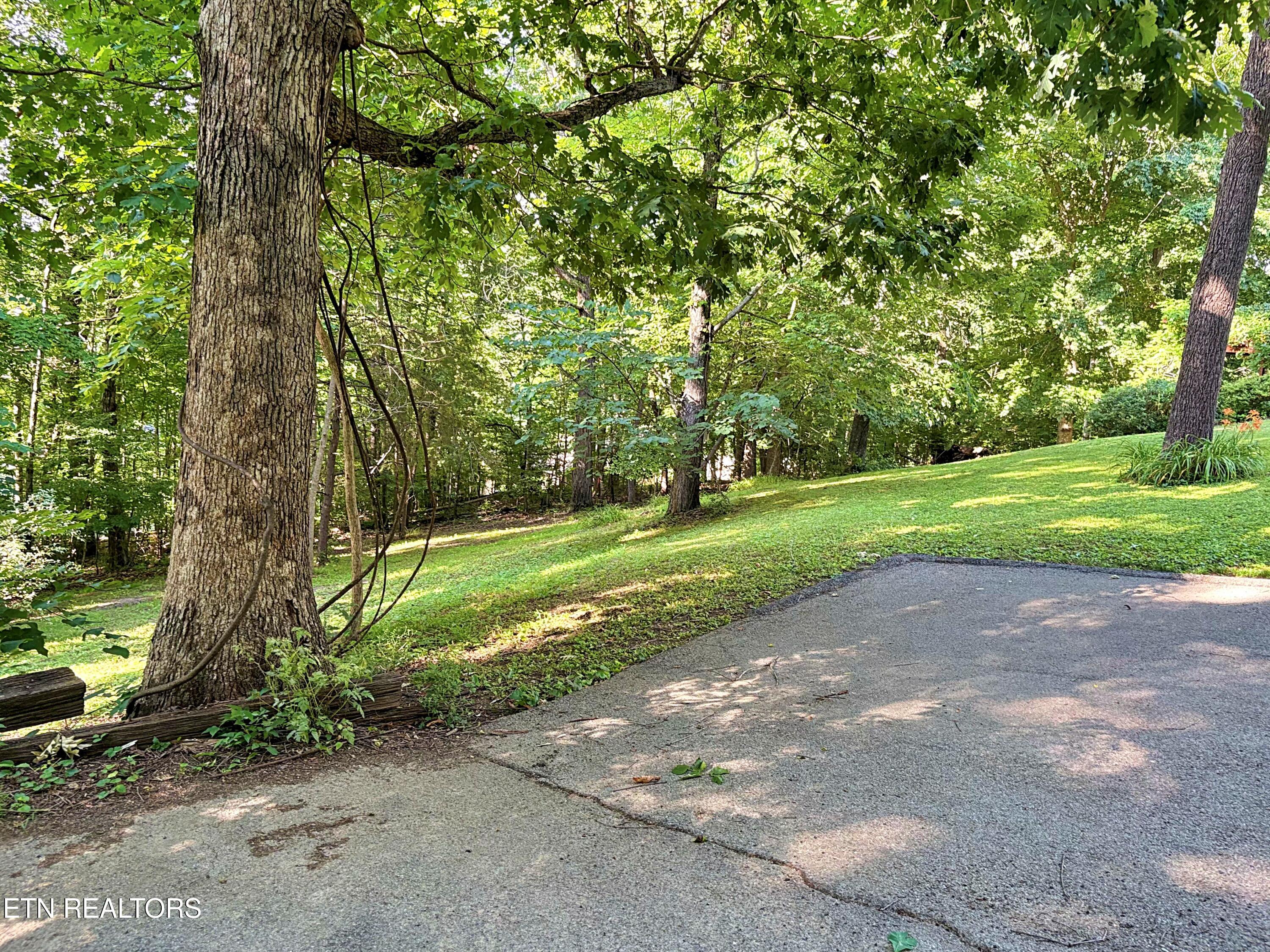 129 Jefferson Street Harrogate TN 37752