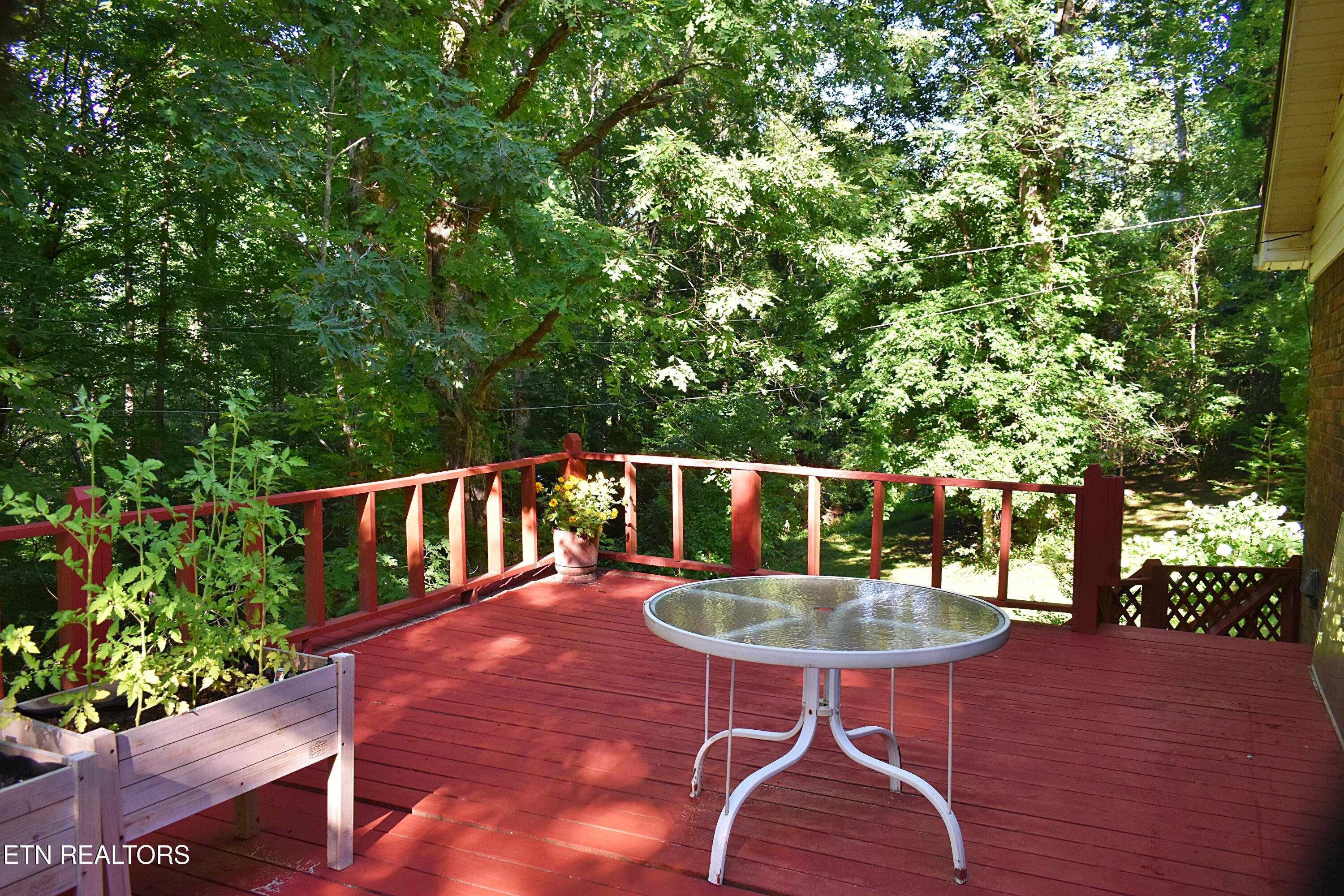 129 Jefferson Street Harrogate TN 37752