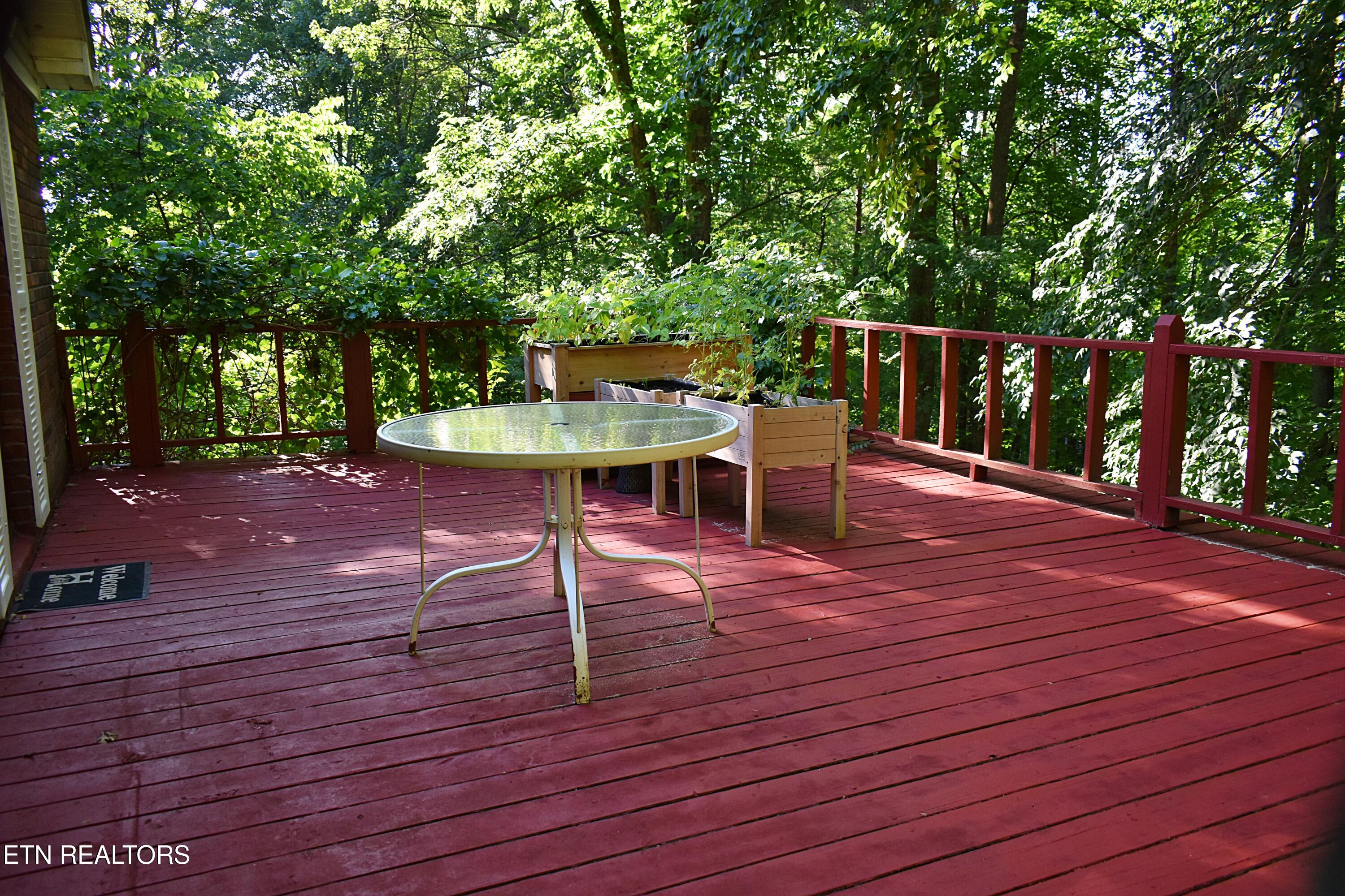 129 Jefferson Street Harrogate TN 37752