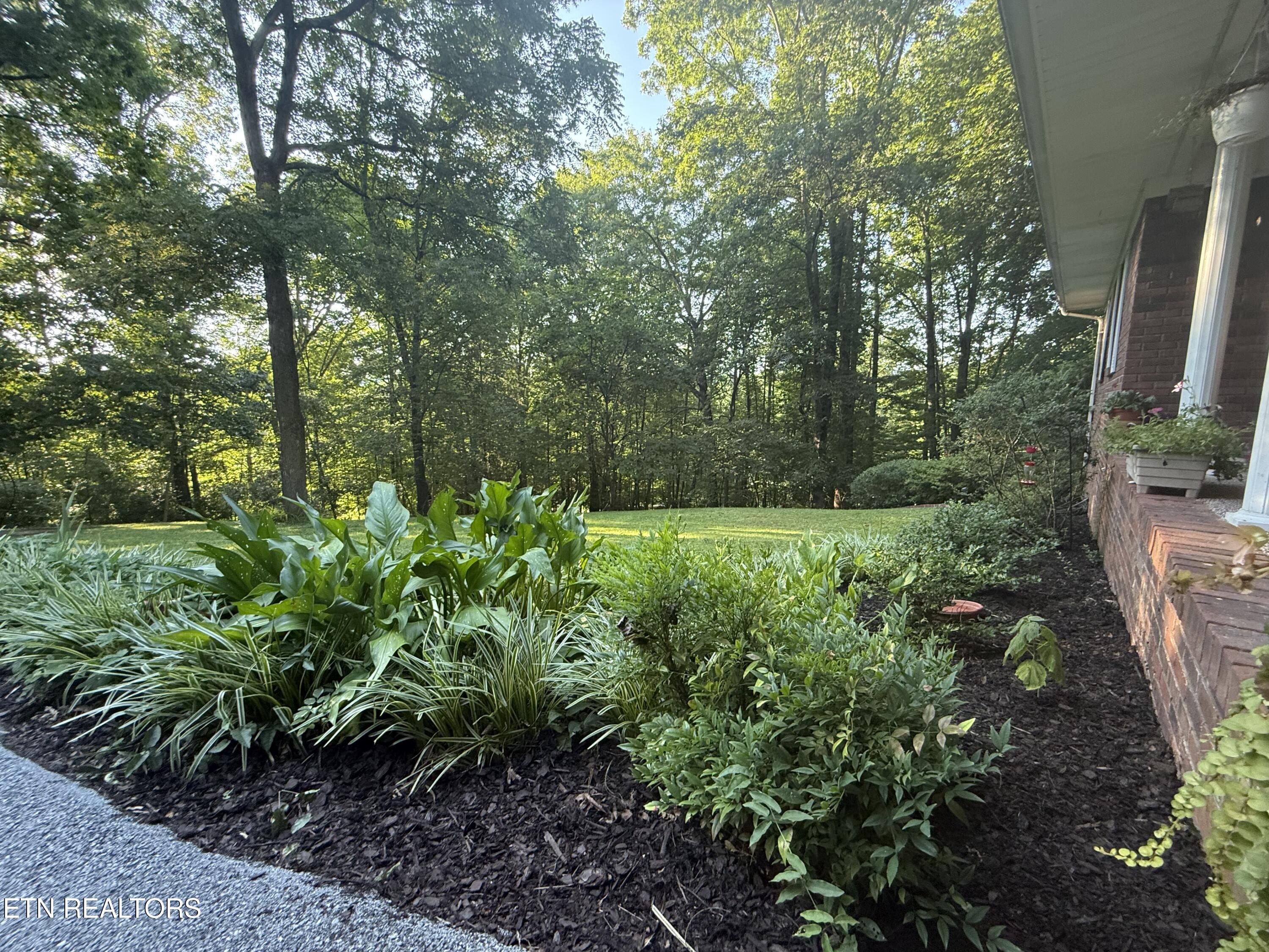 129 Jefferson Street Harrogate TN 37752