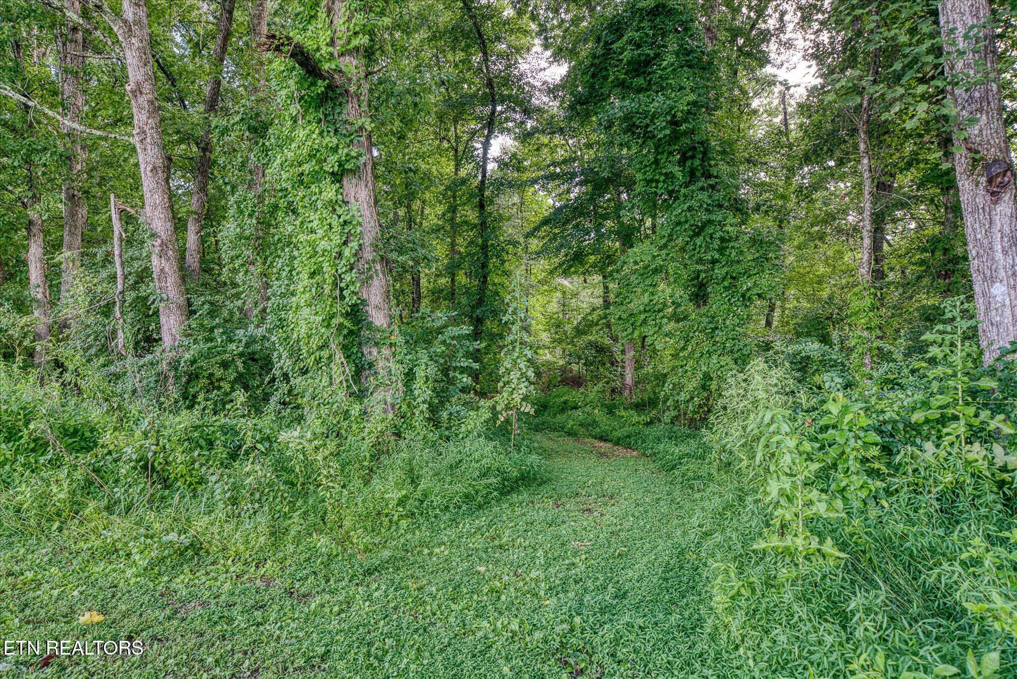 1093 Pomona Road Crossville TN 38571