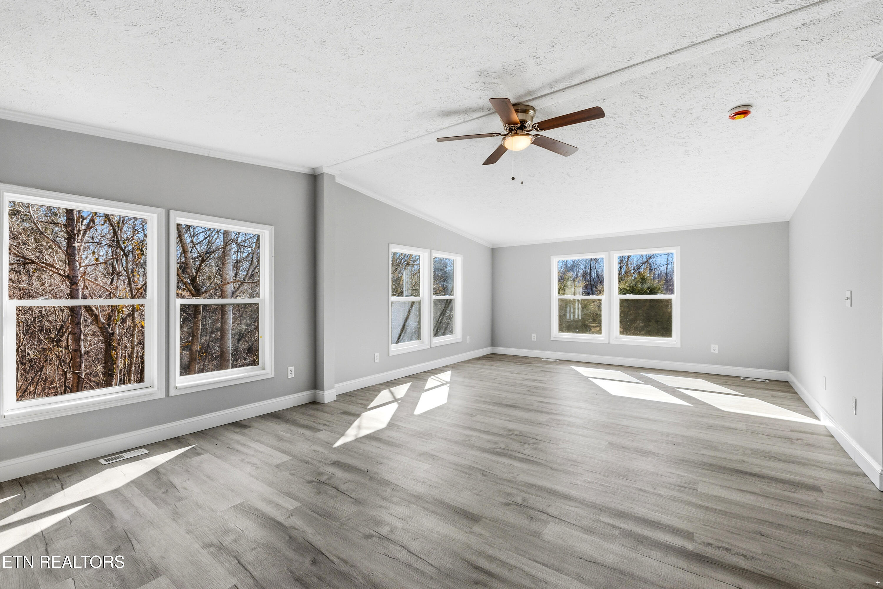 1564 Hollow Springs Road White Pine TN 37890