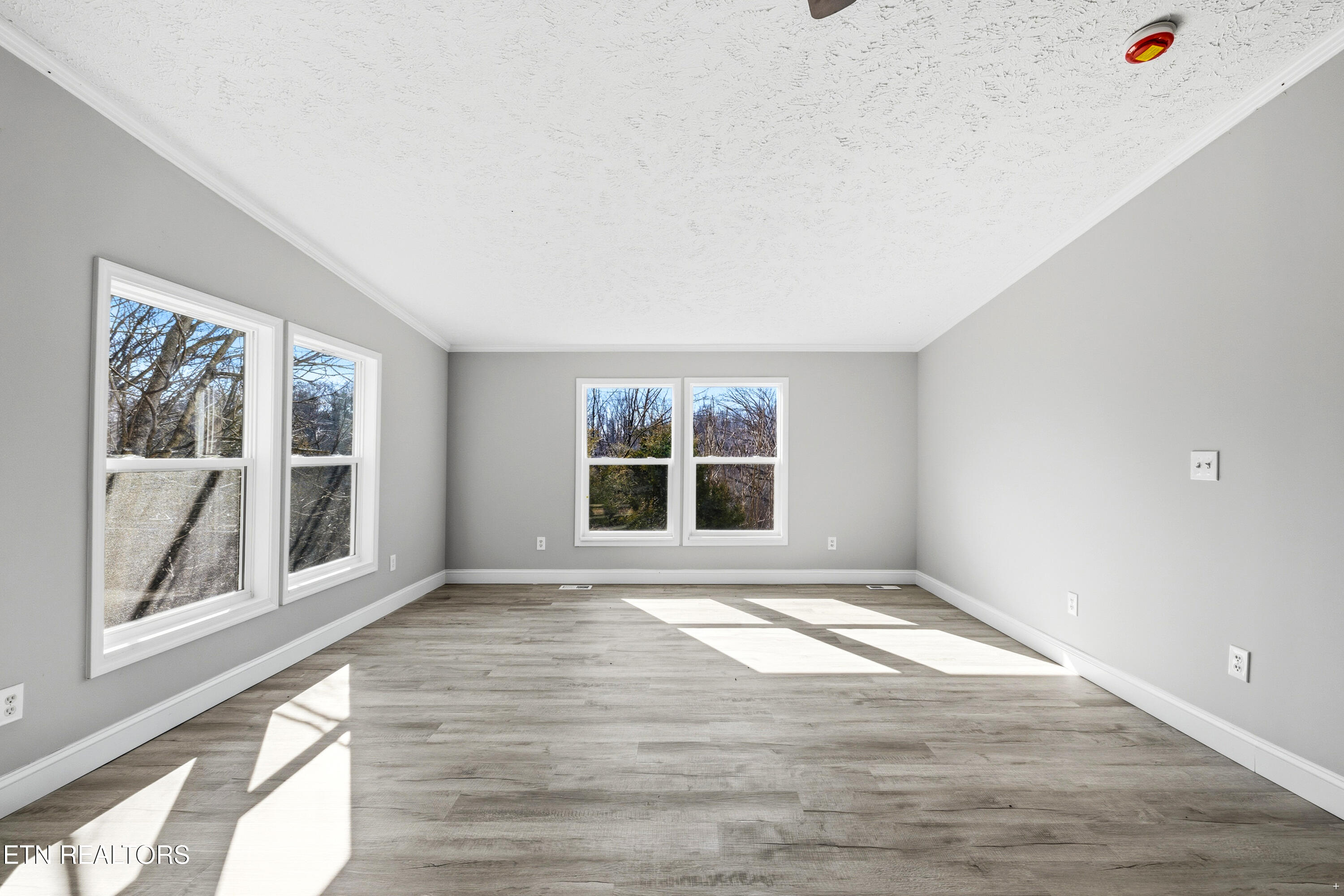 1564 Hollow Springs Road White Pine TN 37890