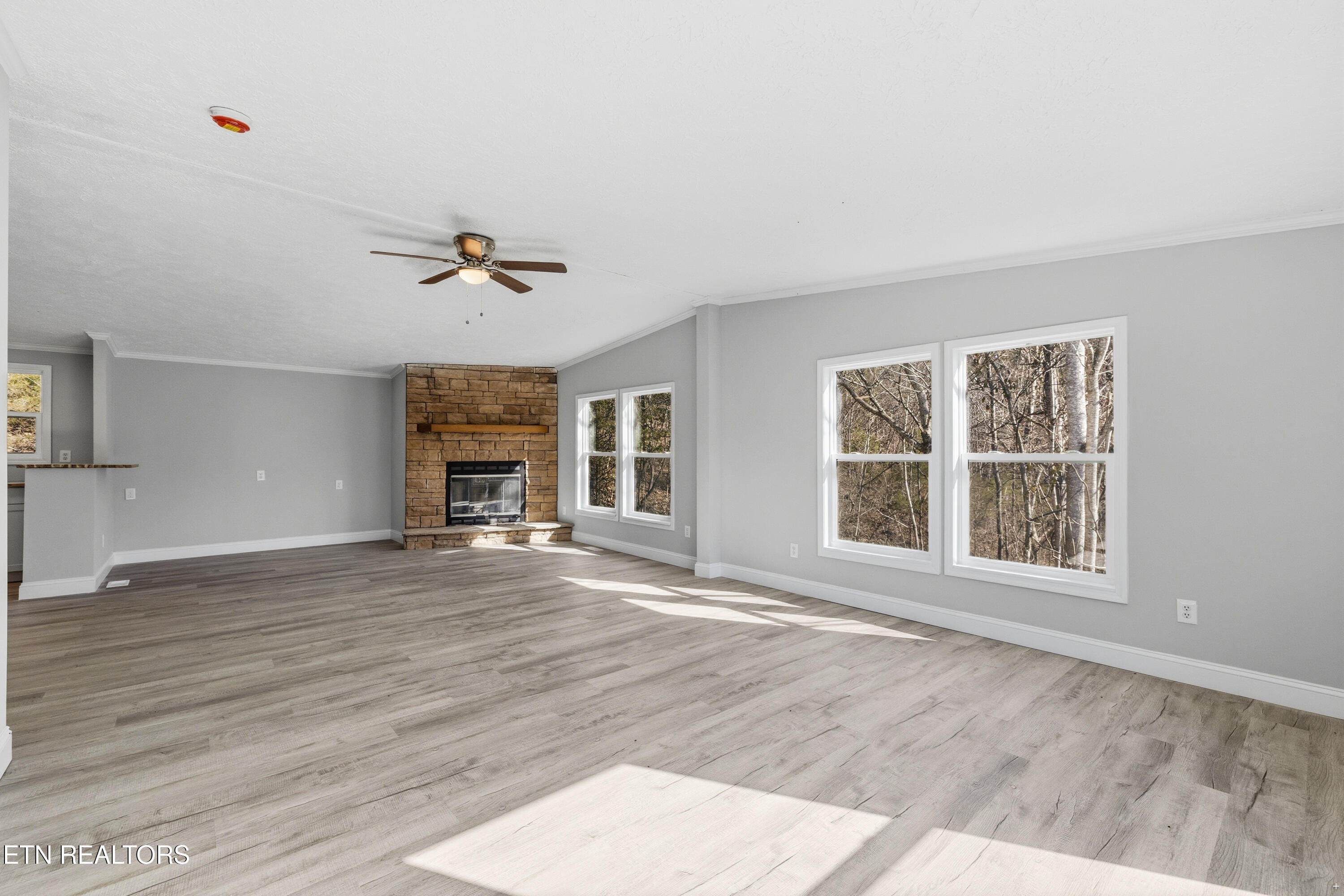 1564 Hollow Springs Road White Pine TN 37890