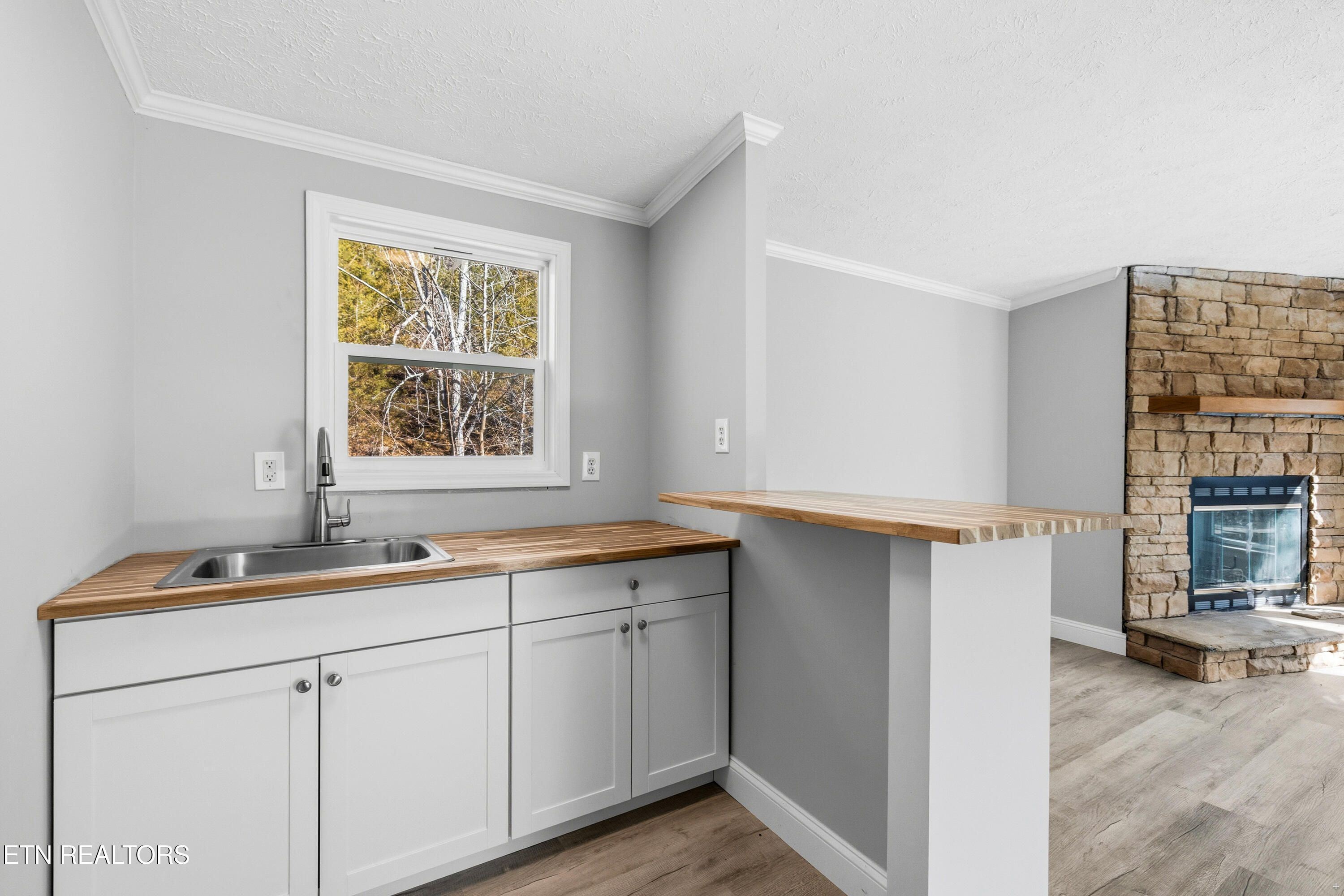 1564 Hollow Springs Road White Pine TN 37890