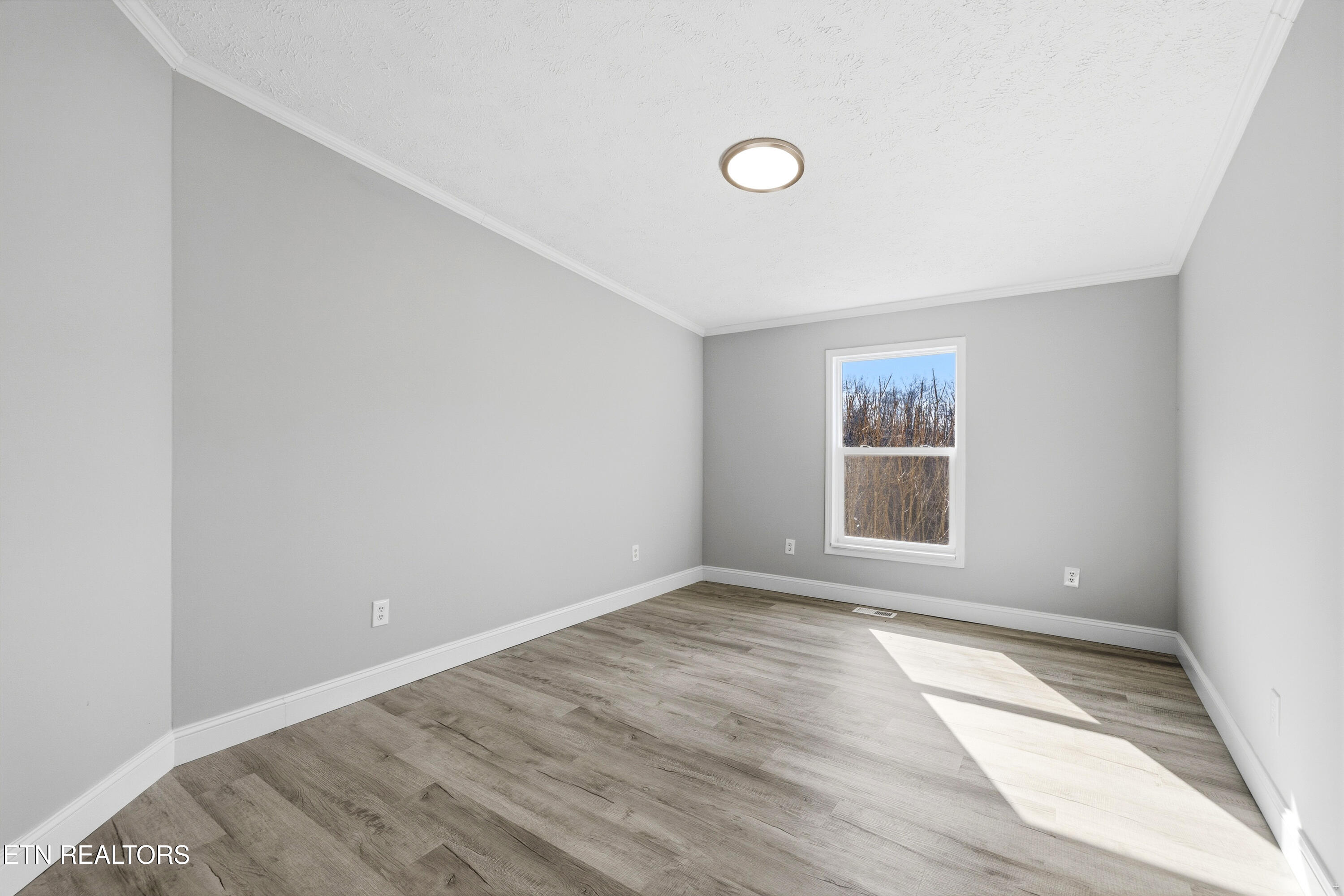 1564 Hollow Springs Road White Pine TN 37890