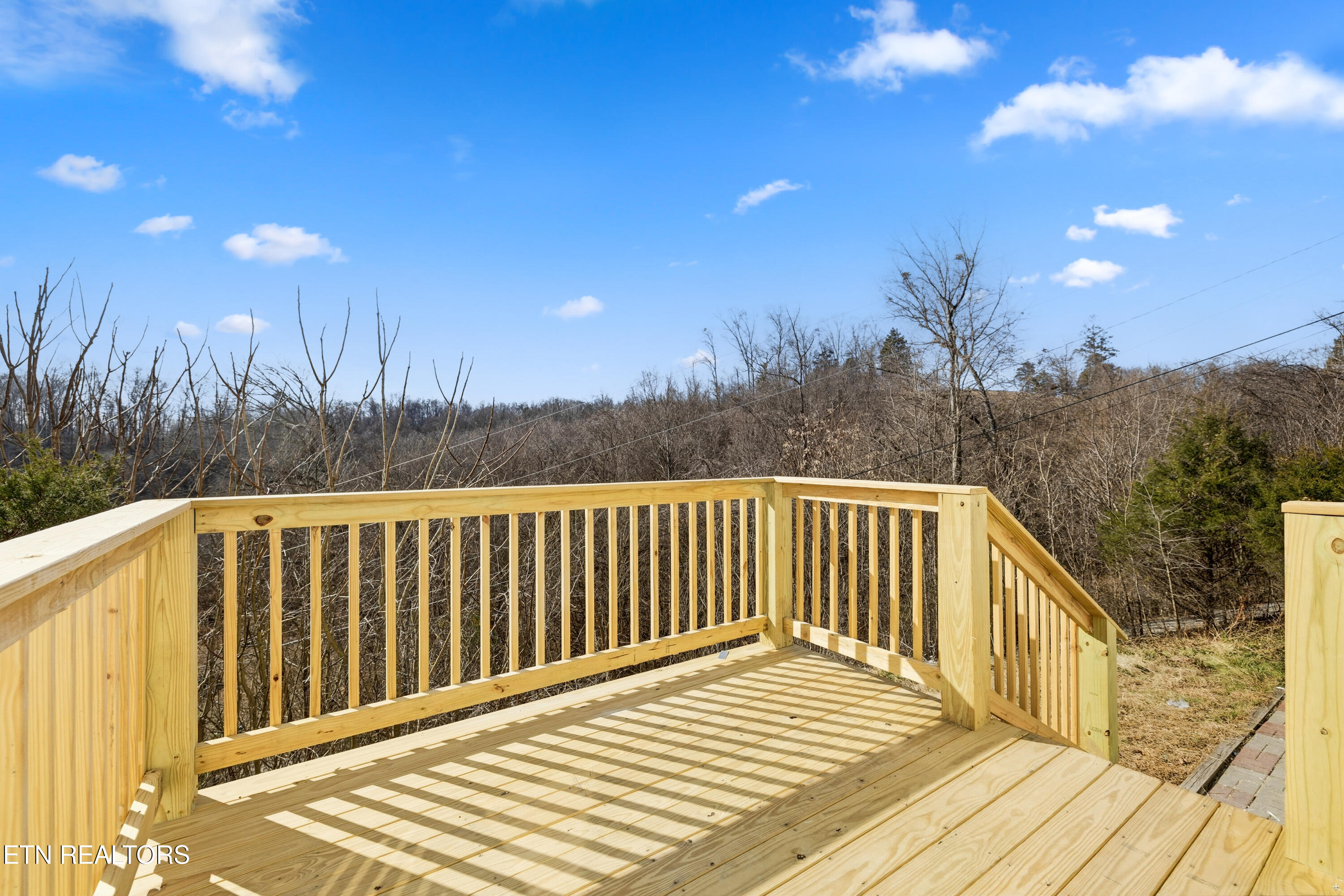 1564 Hollow Springs Road White Pine TN 37890
