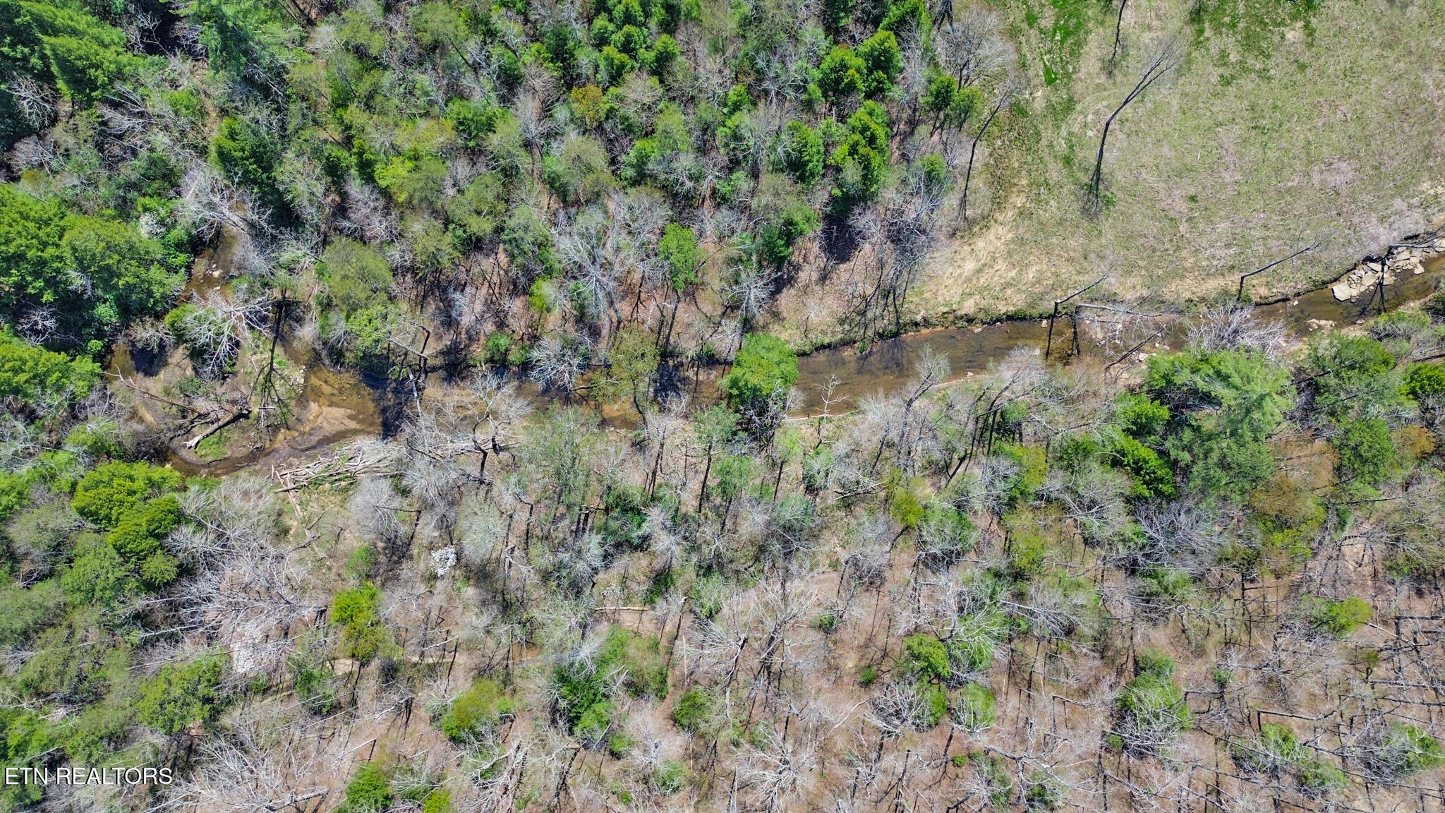 399 Annabelle Way Jamestown TN 38556