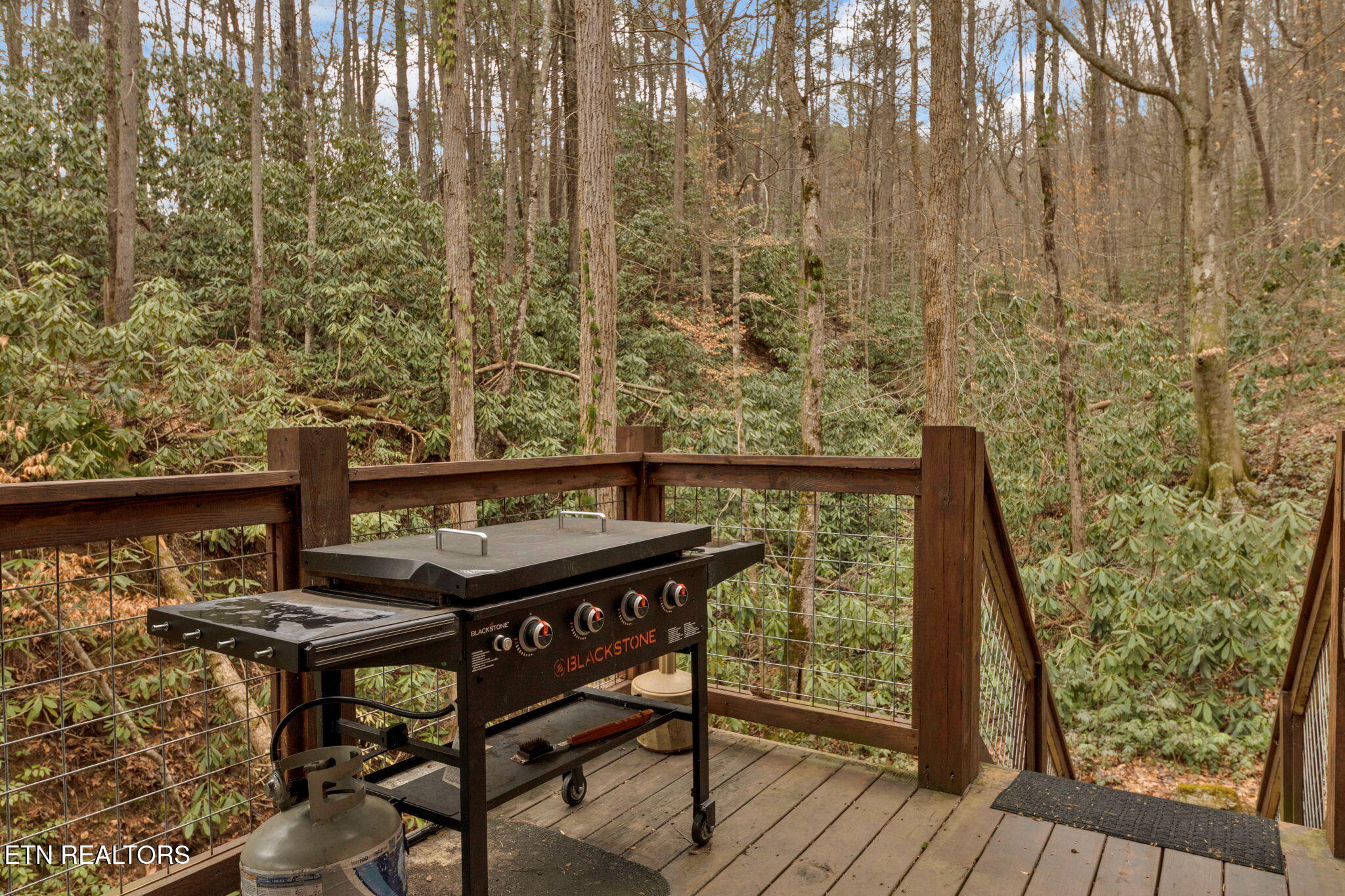 3114 Brothers Way Sevierville TN 37862