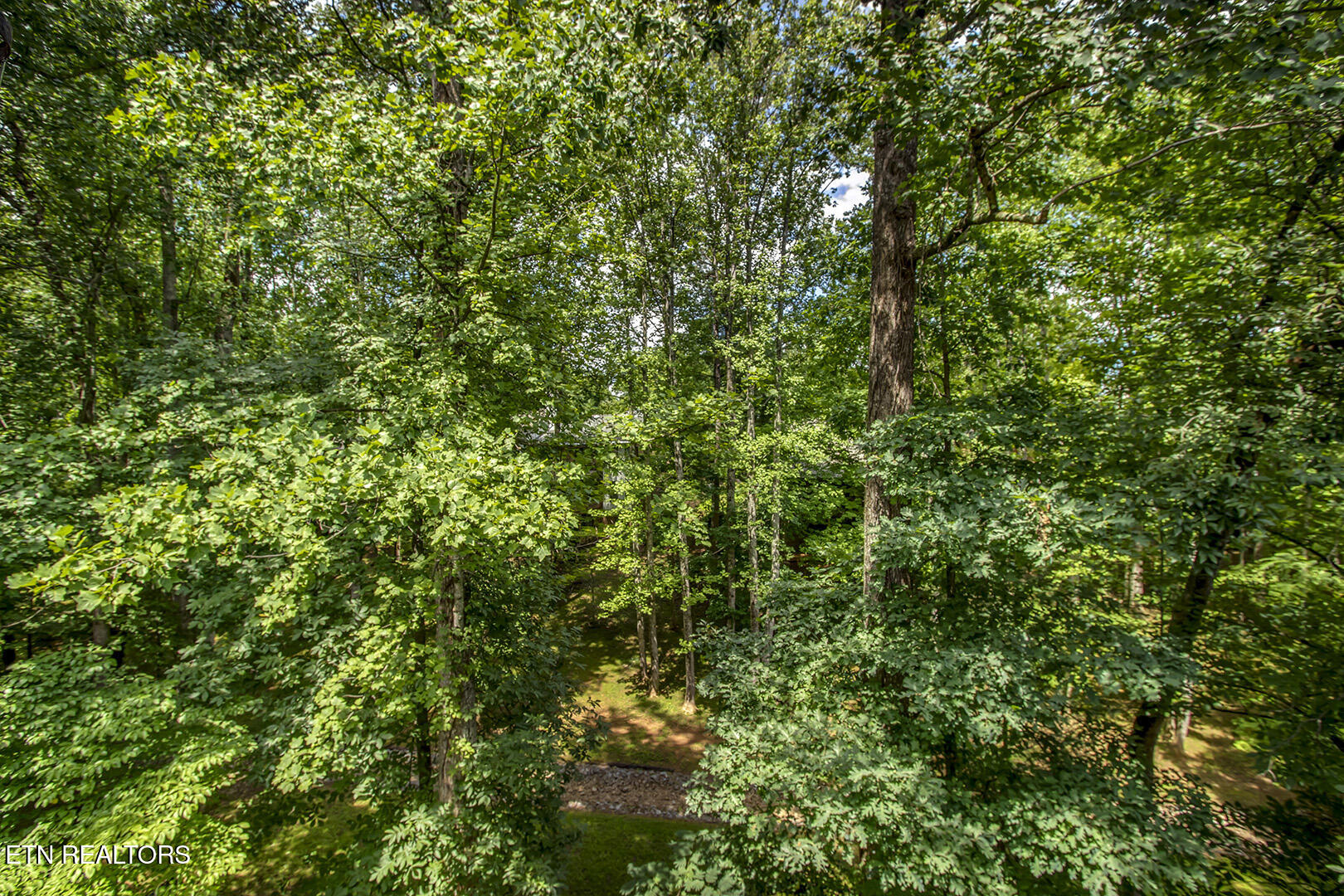 807 Ethans Glen Drive Knoxville TN 37923