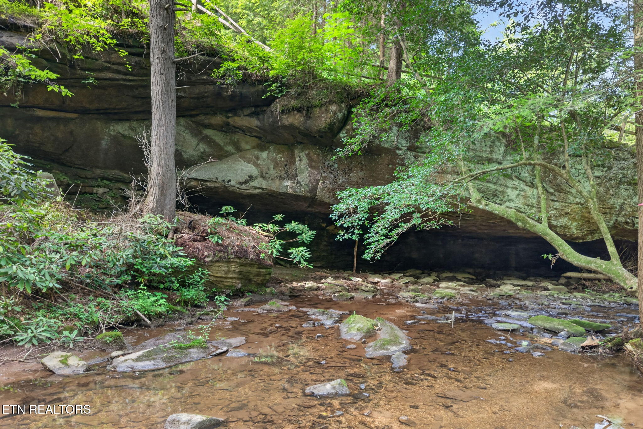 232 Victoria Circle Jamestown TN 38556