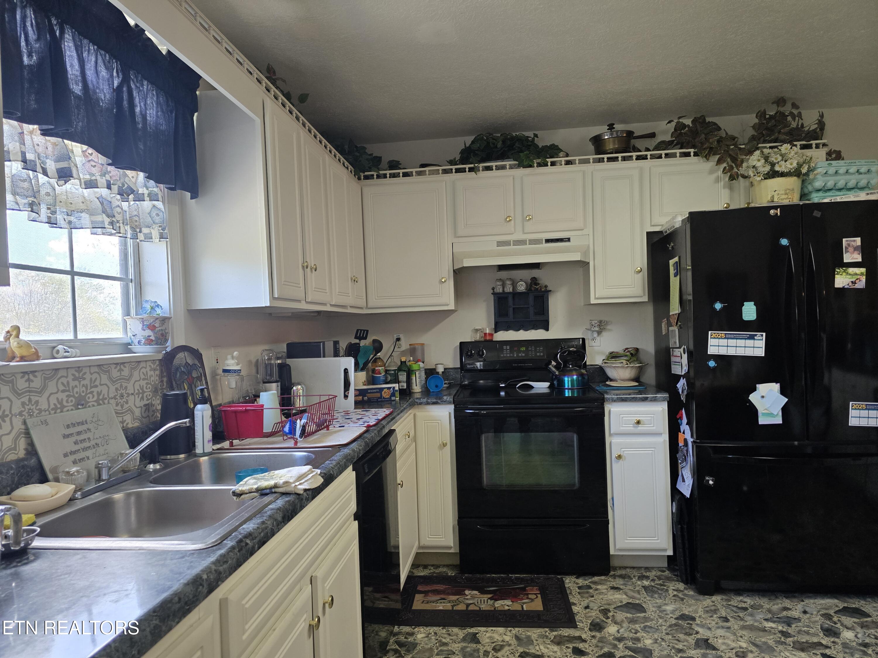 156 El Sara Drive New Tazewell TN 37825