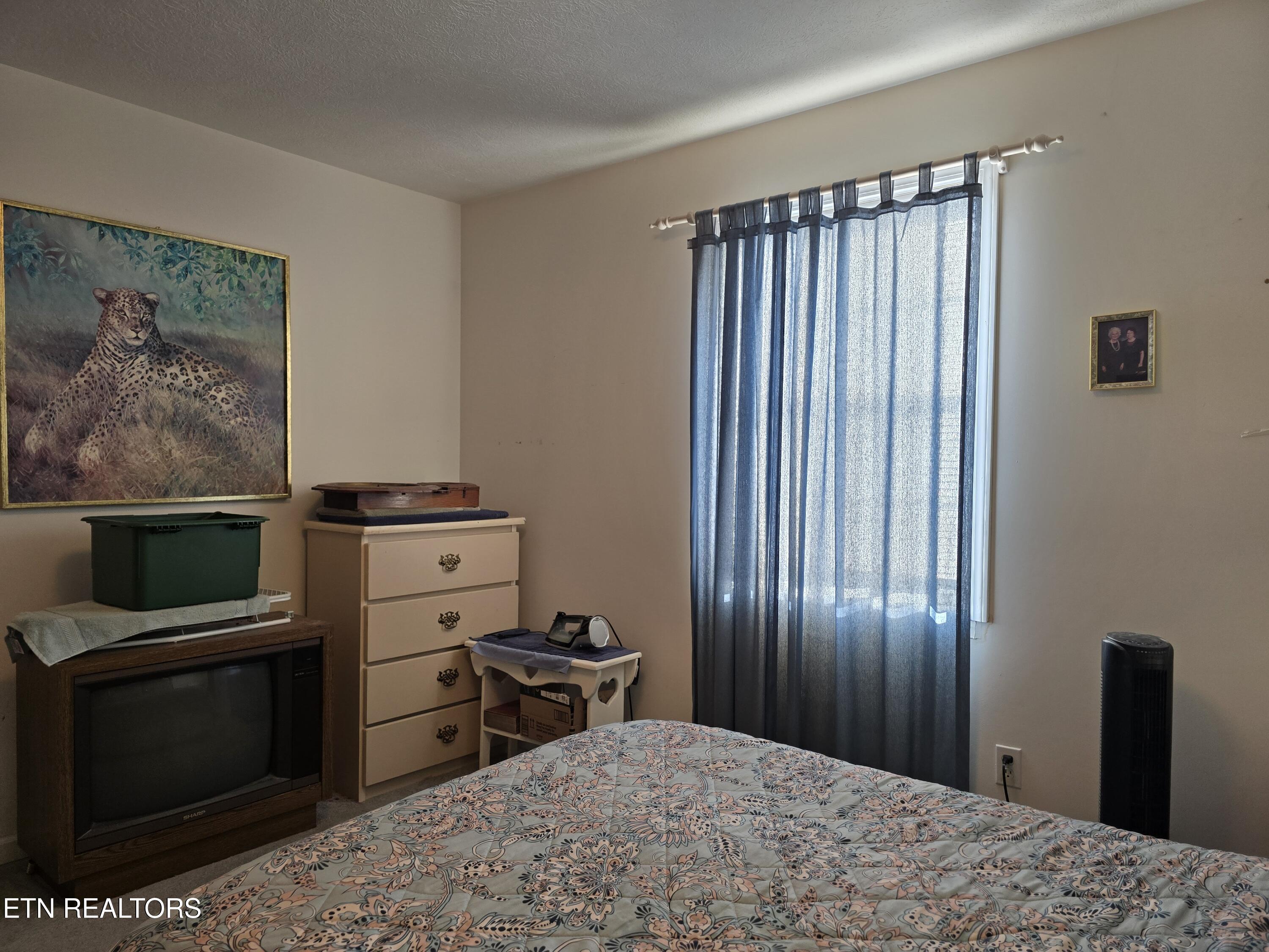156 El Sara Drive New Tazewell TN 37825