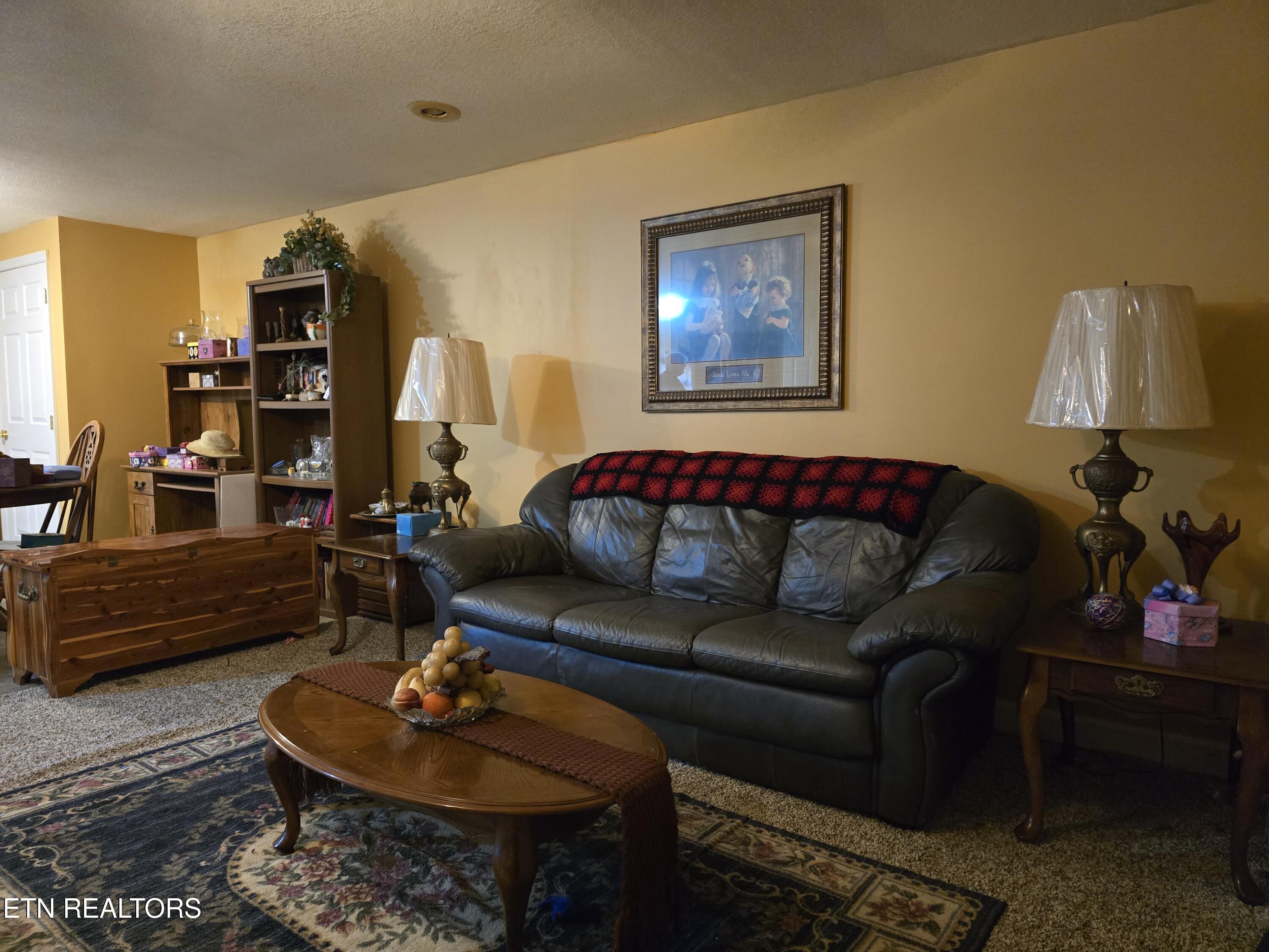 156 El Sara Drive New Tazewell TN 37825