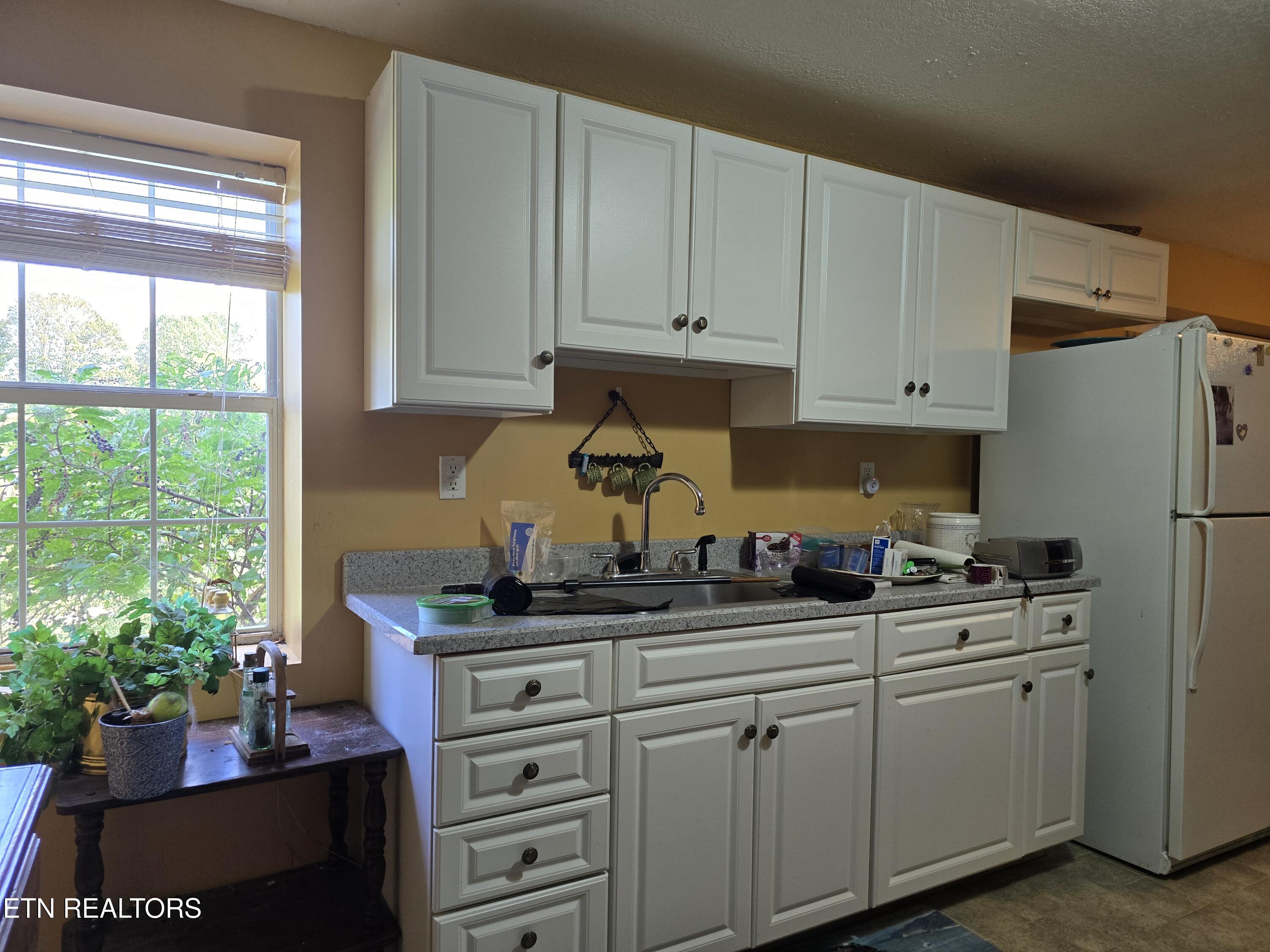 156 El Sara Drive New Tazewell TN 37825