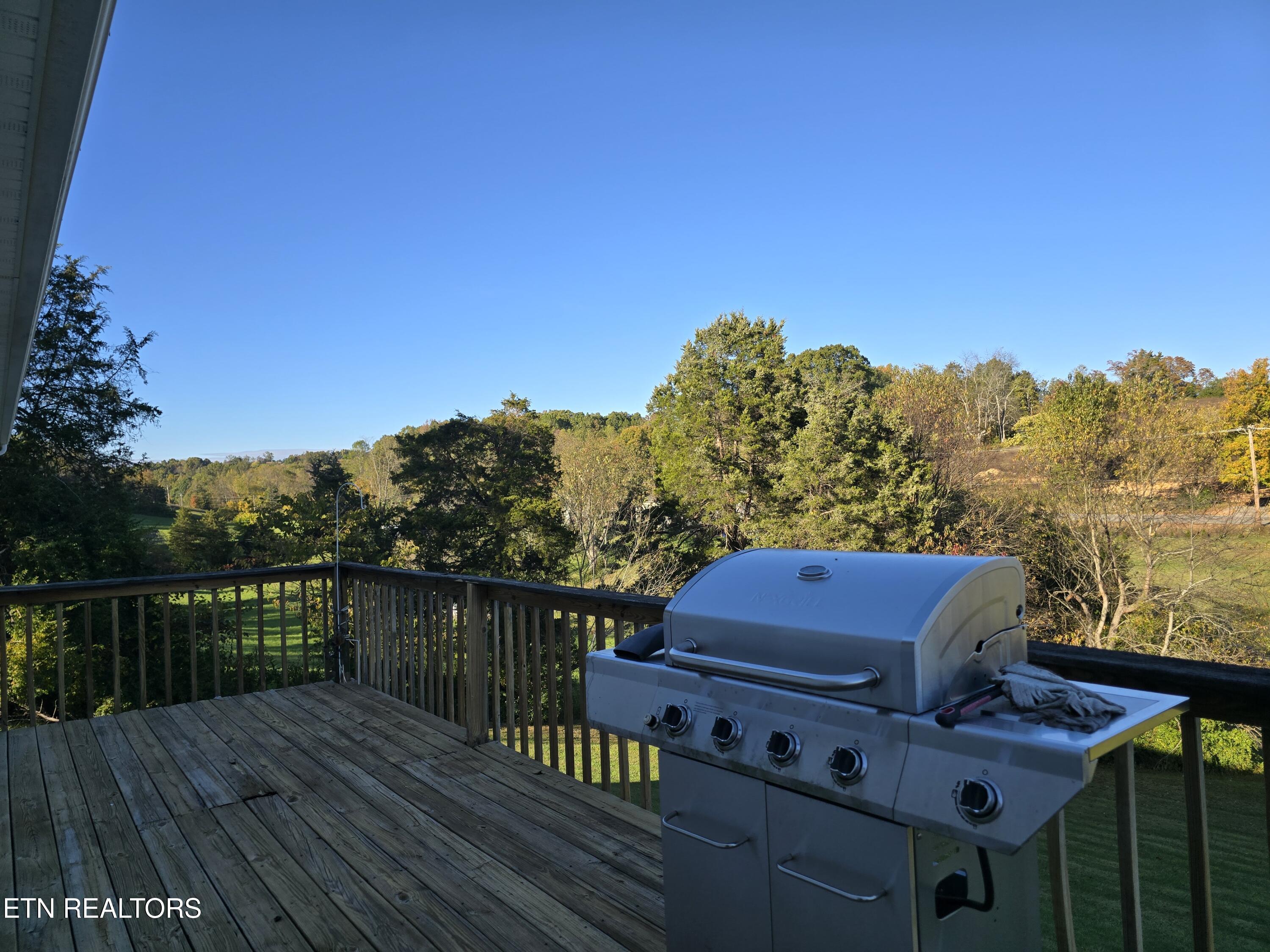 156 El Sara Drive New Tazewell TN 37825