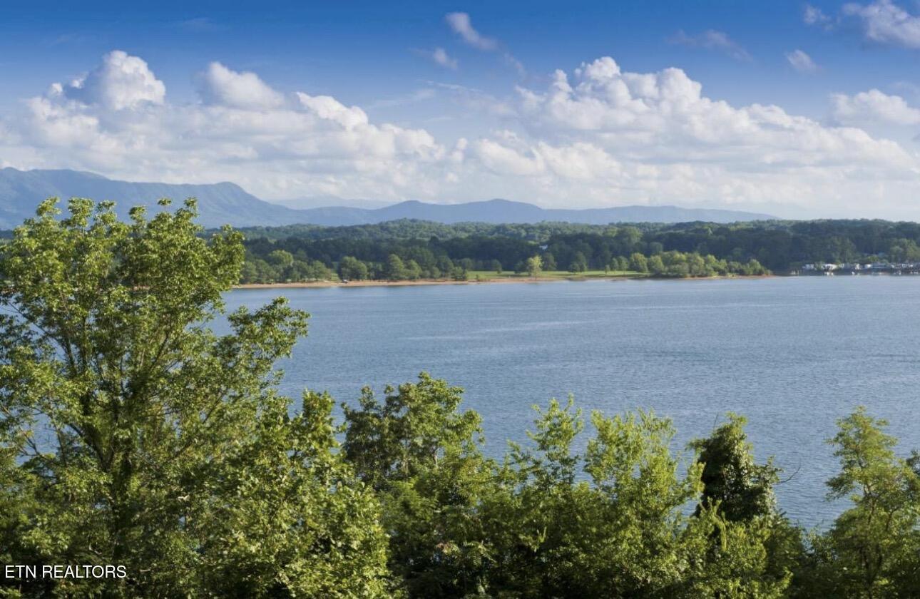 2145 Stillhouse Road Dandridge TN 37725
