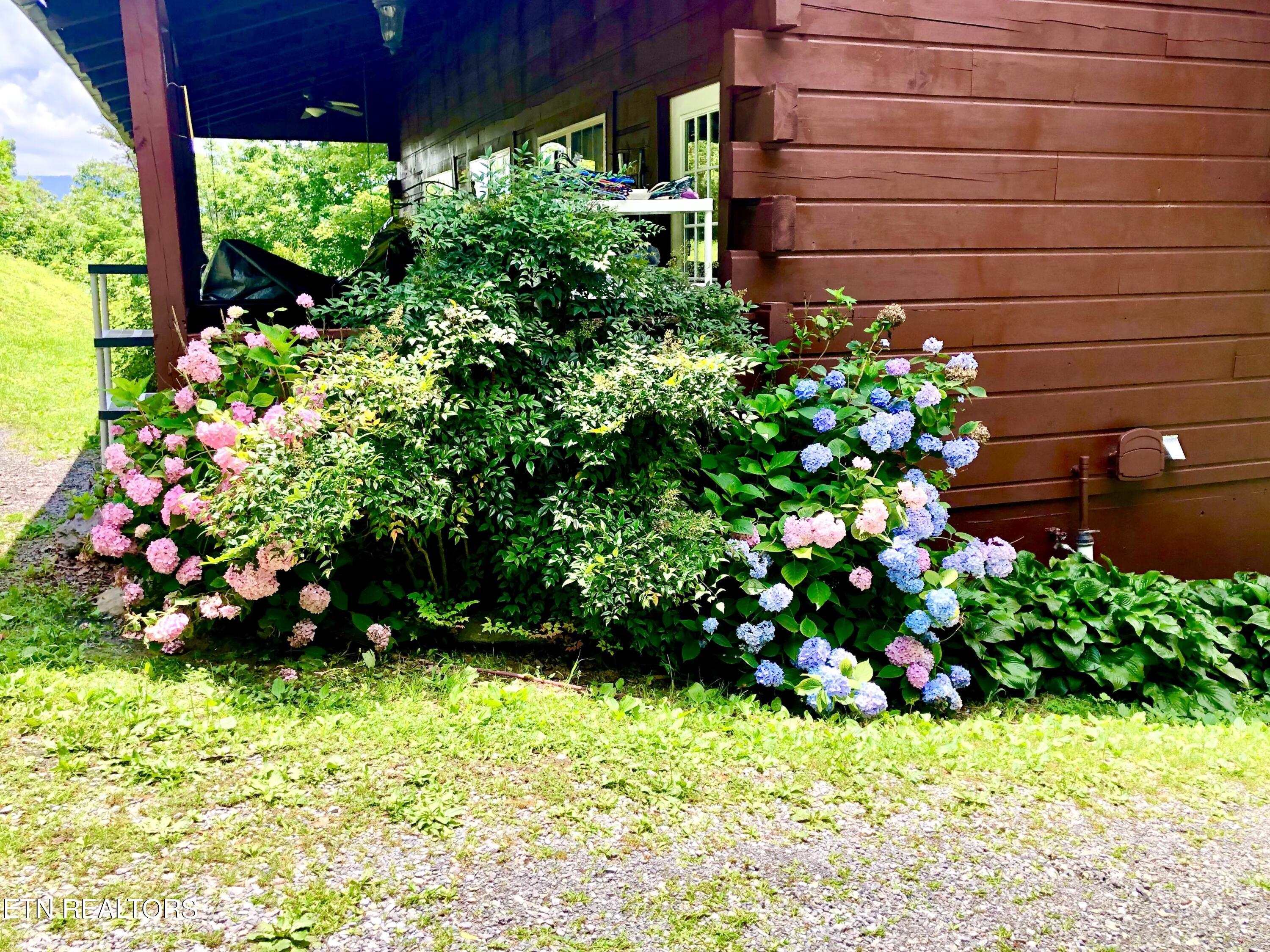 186 Caney Creek Road Reliance TN 37369