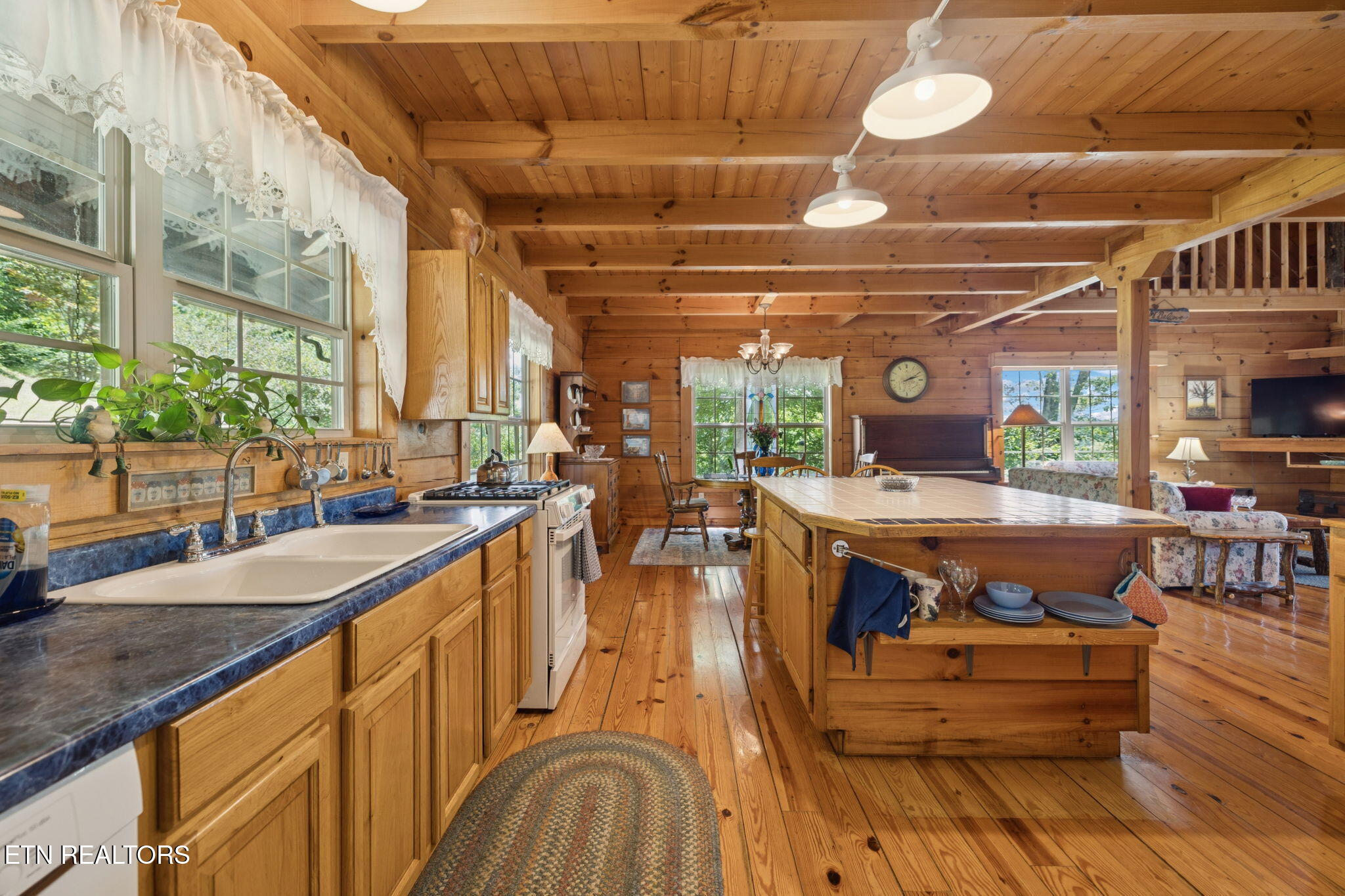 186 Caney Creek Road Reliance TN 37369