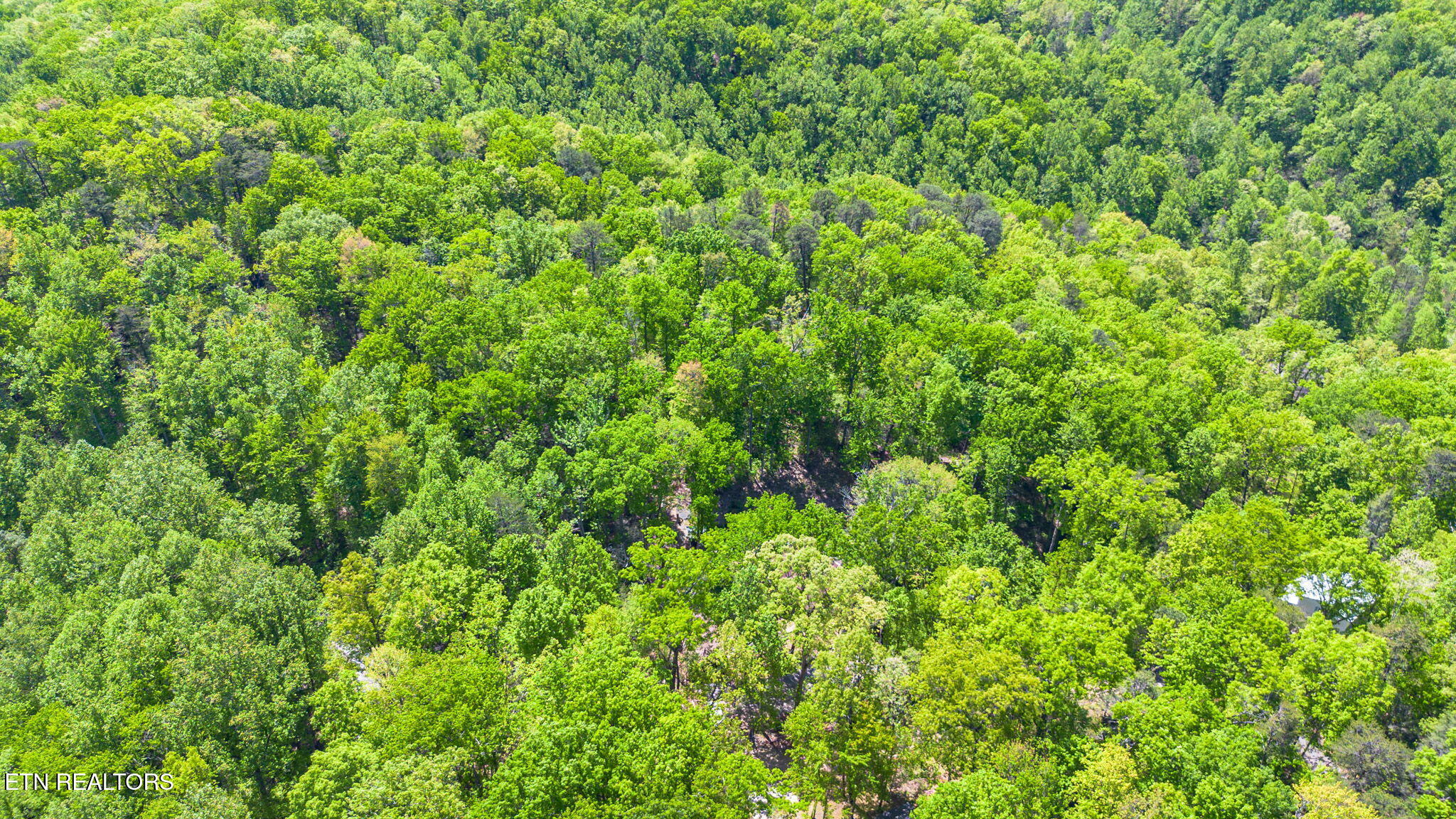 4360 Lakeshore Avenue Sevierville TN 37876