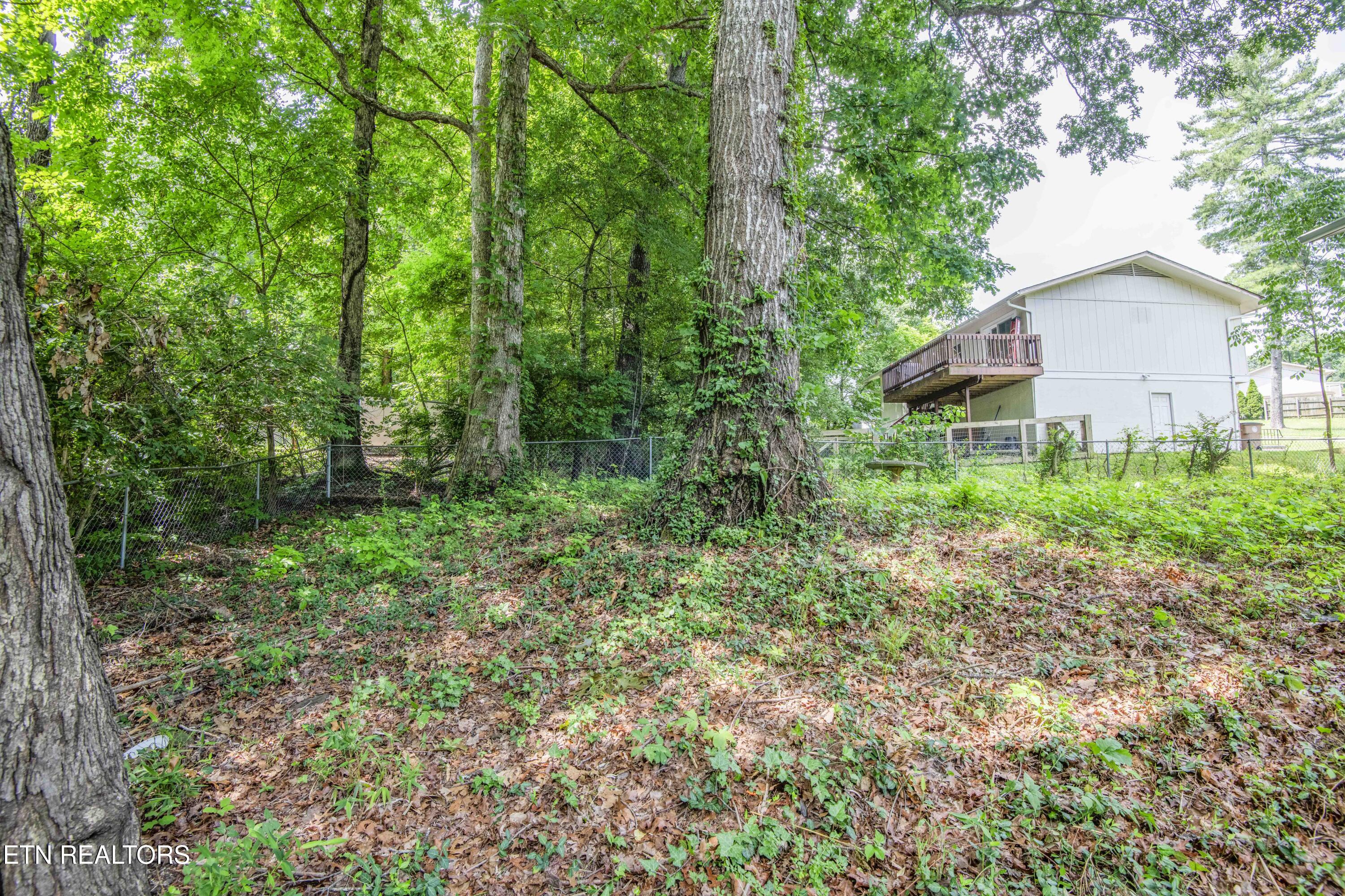 6516 Ellesmere Drive Knoxville TN 37921