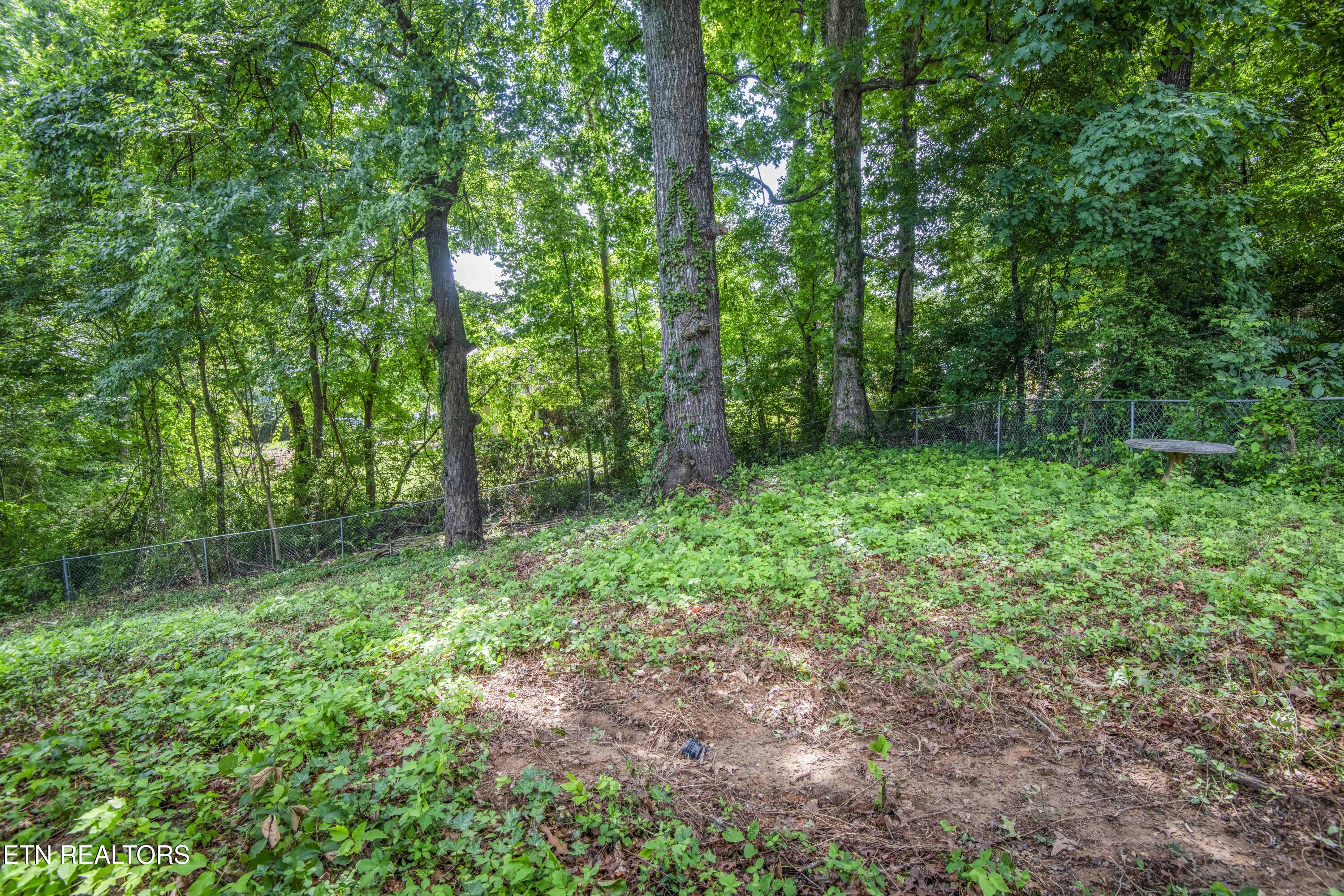 6516 Ellesmere Drive Knoxville TN 37921