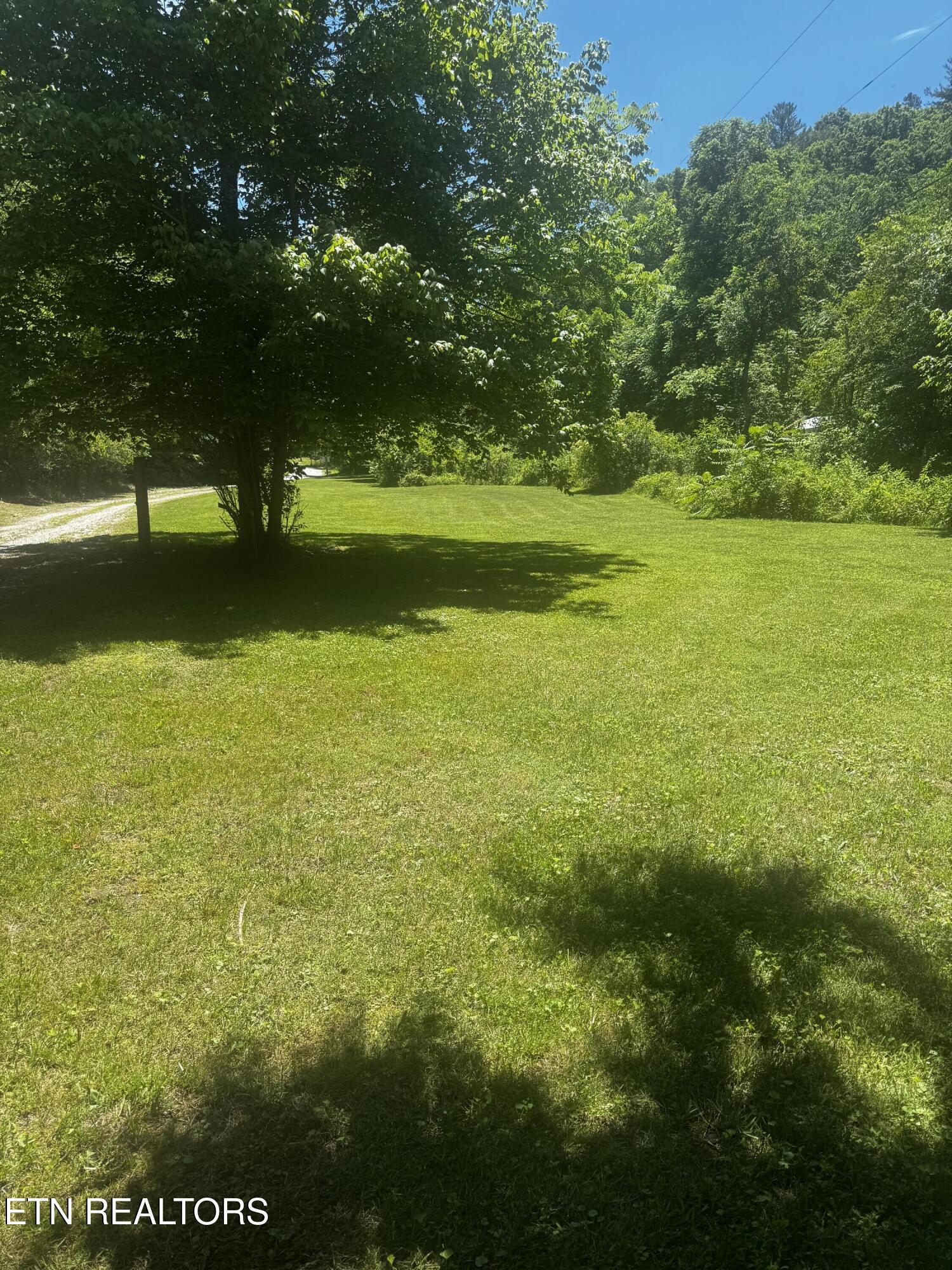 125 Willoughby Lane Robbins TN 37852