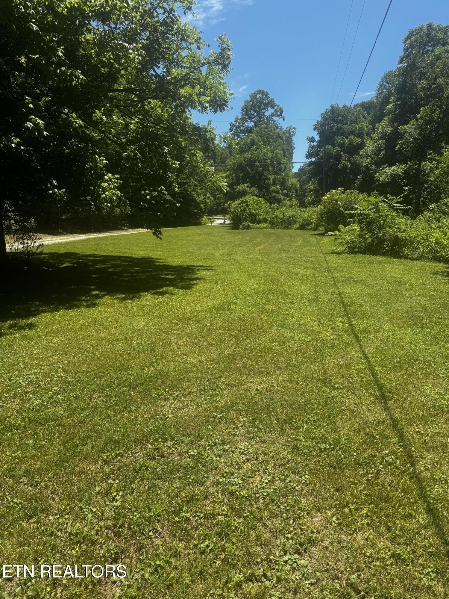 125 Willoughby Lane Robbins TN 37852