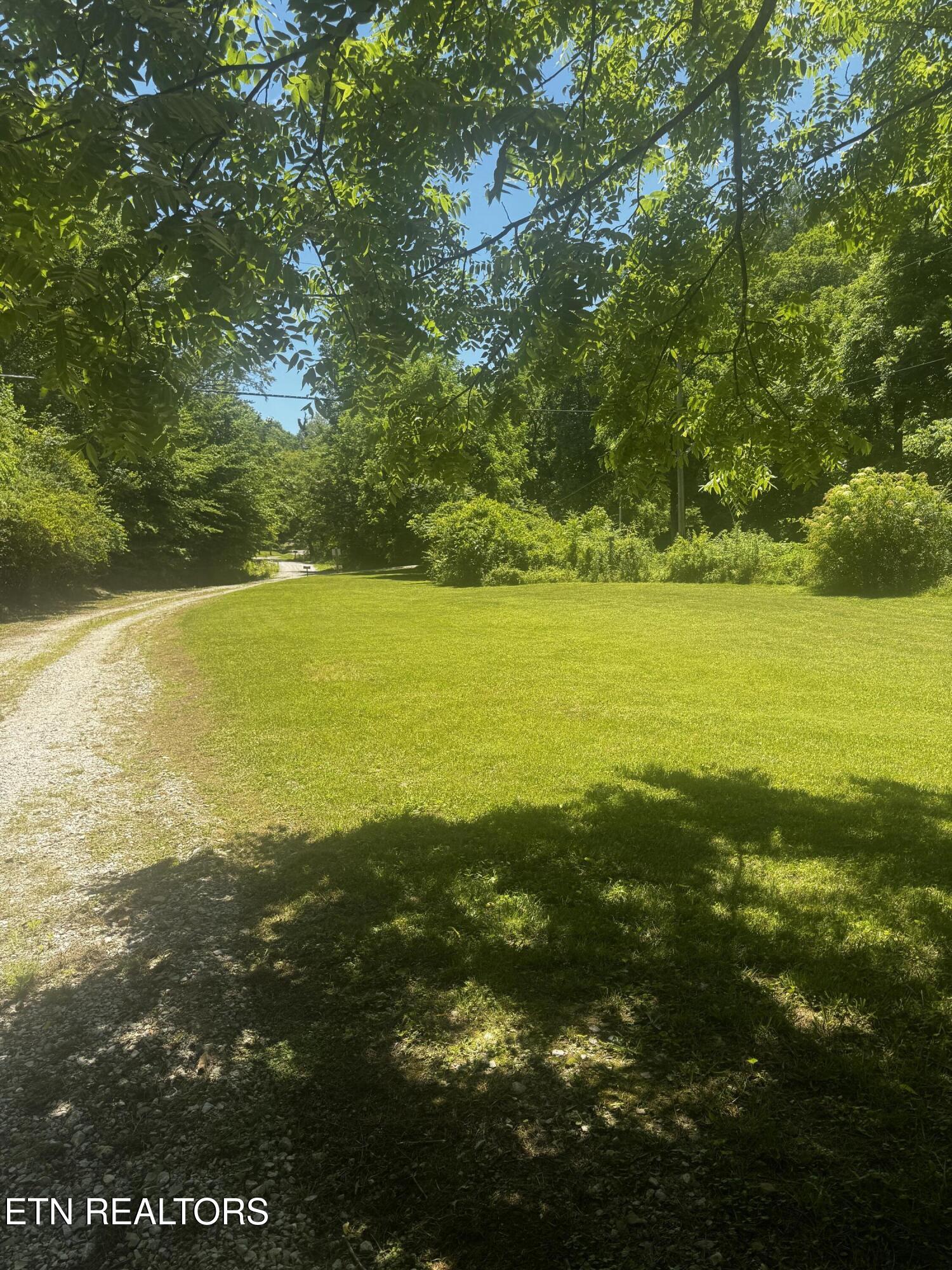 125 Willoughby Lane Robbins TN 37852