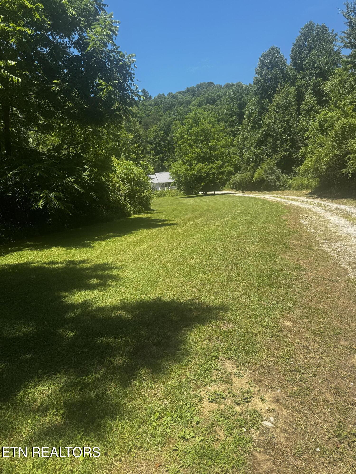 125 Willoughby Lane Robbins TN 37852
