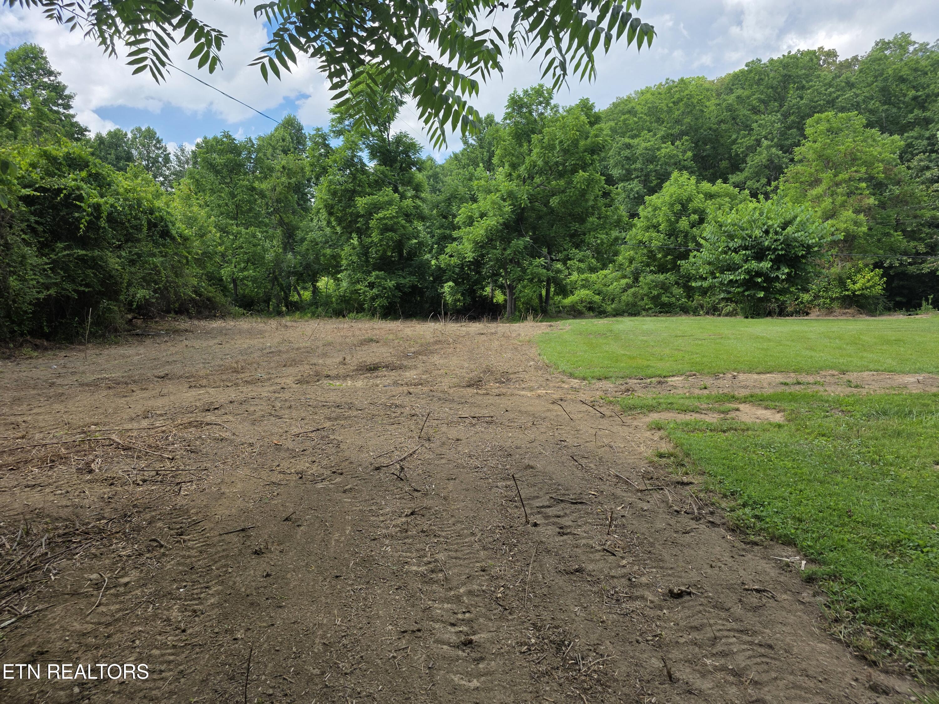 125 Willoughby Lane Robbins TN 37852