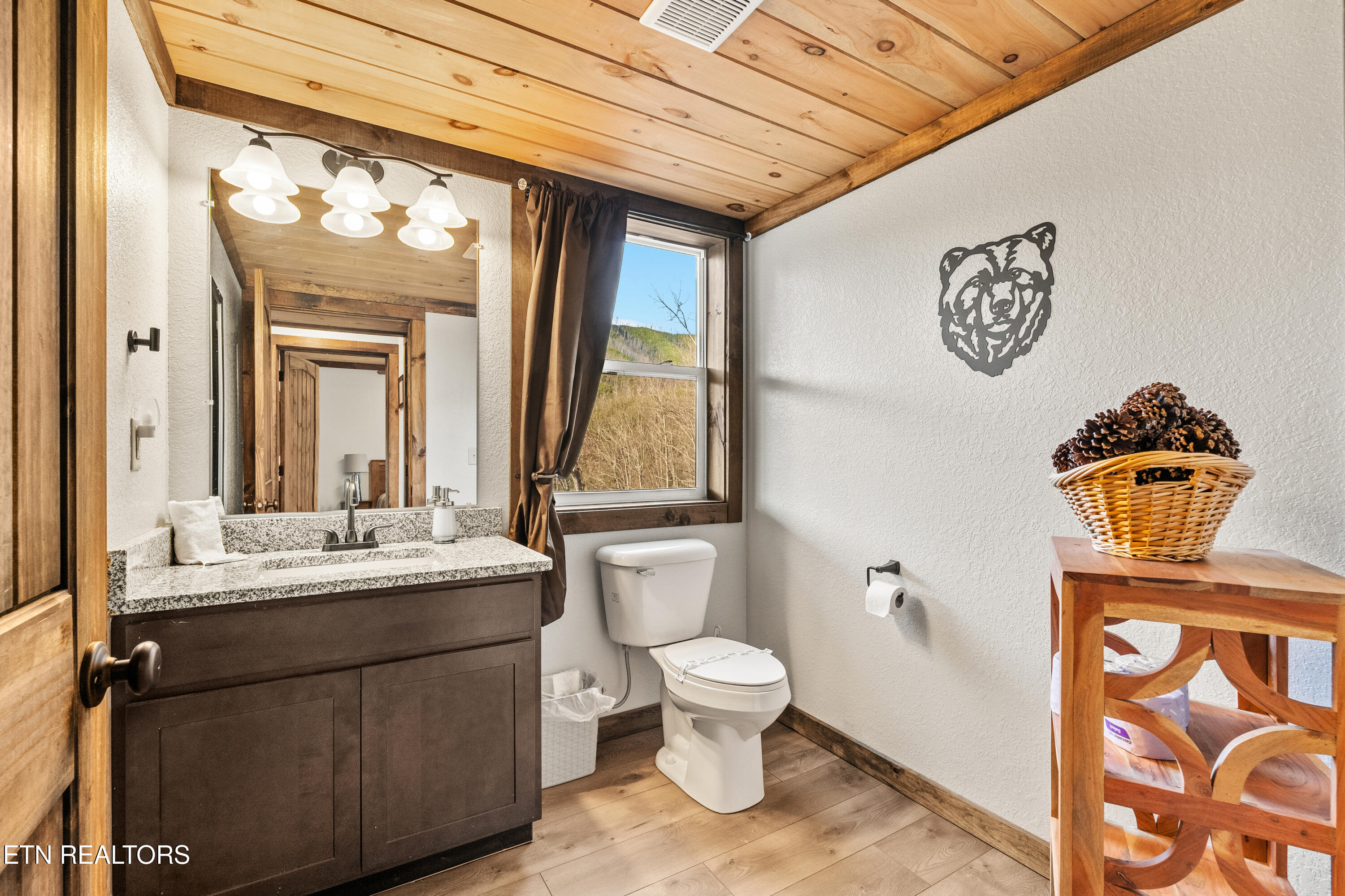 817 Pine Top Lane Gatlinburg TN 37738