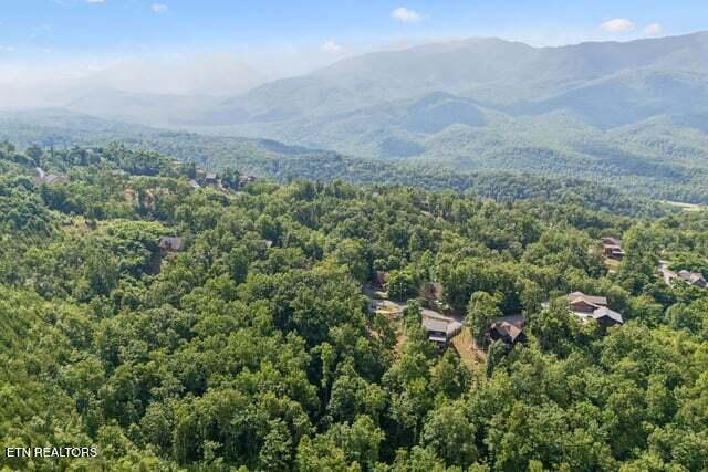 817 Pine Top Lane Gatlinburg TN 37738