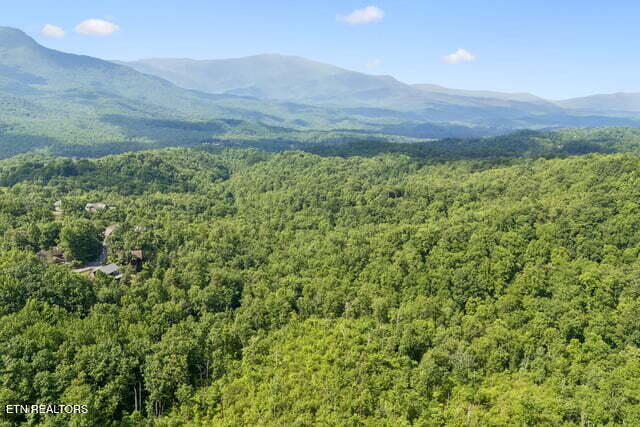 817 Pine Top Lane Gatlinburg TN 37738