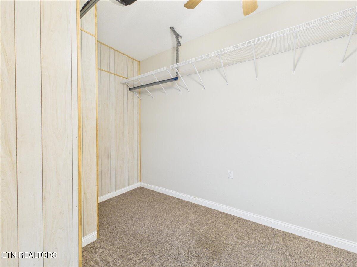 139 Gracyn Lane Harrogate TN 37752