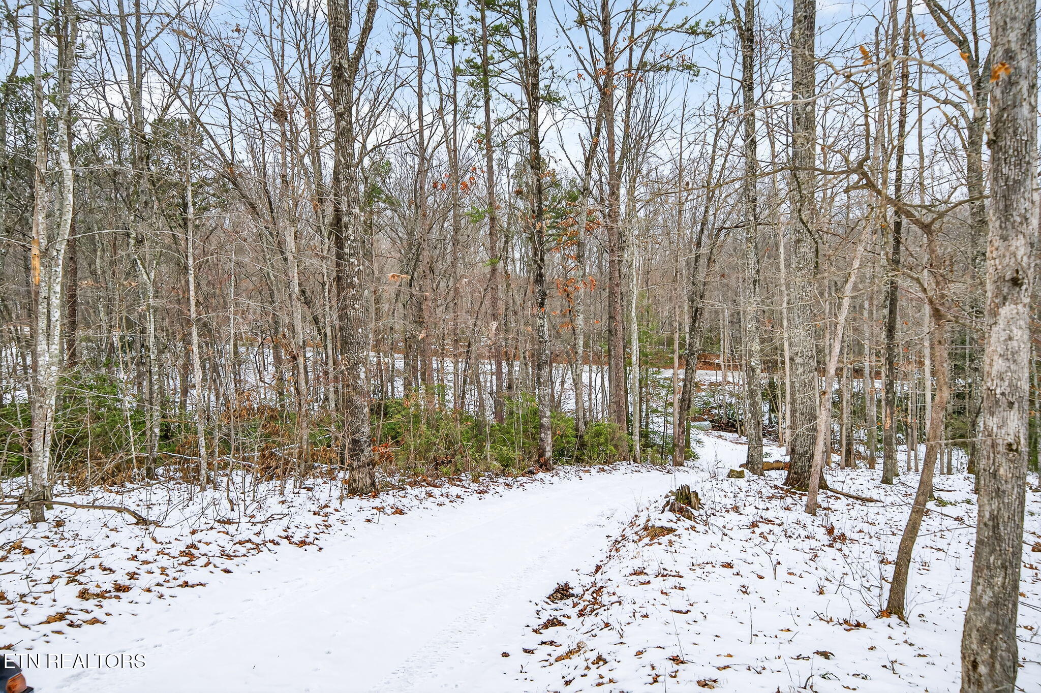 1086 Pearl Hinds Road Jamestown TN 38556