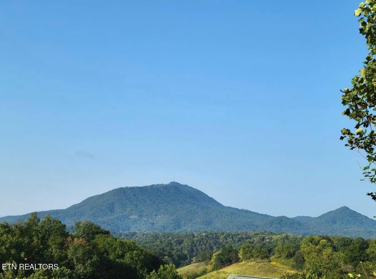 1091 Towering Oaks Drive Sevierville TN 37876