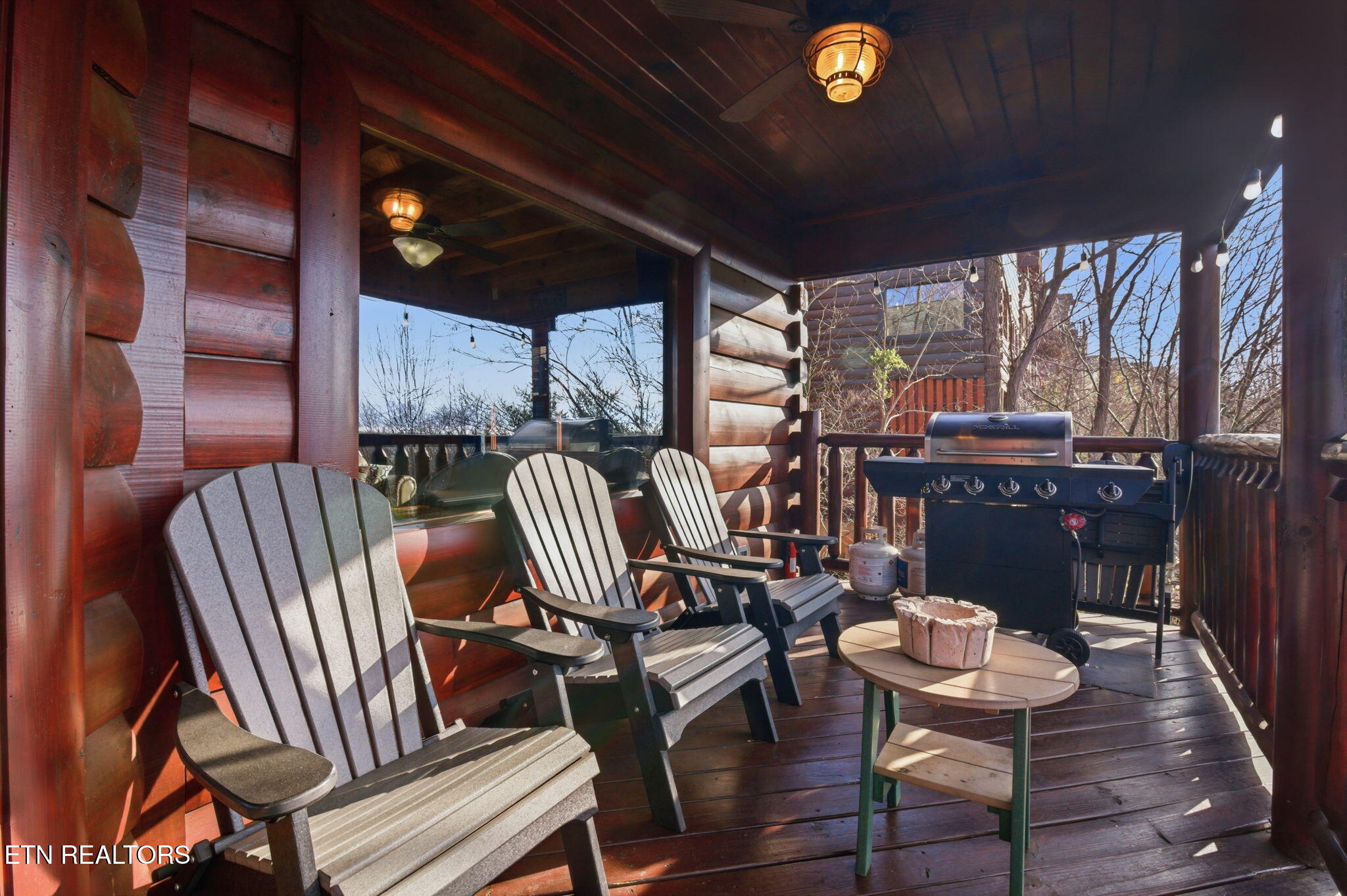 1091 Towering Oaks Drive Sevierville TN 37876