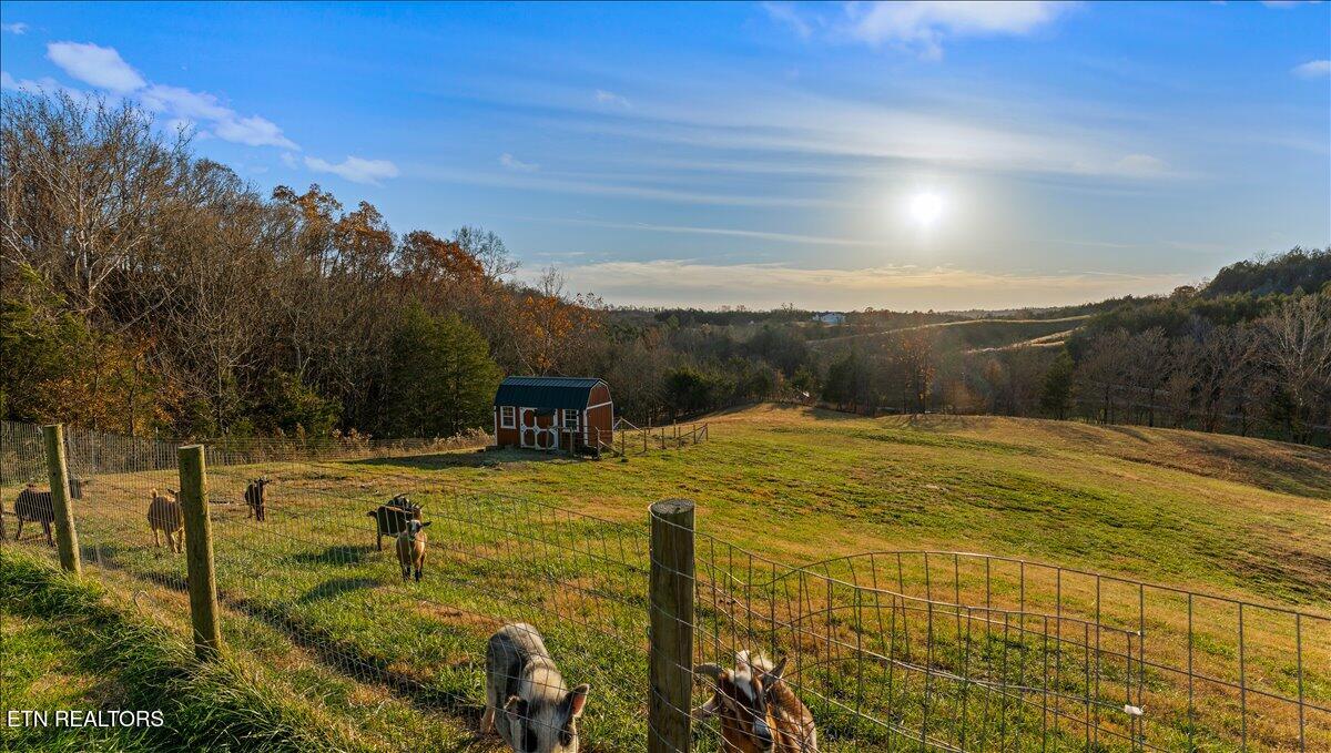 681 Grassy Creek Road Greeneville TN 37743