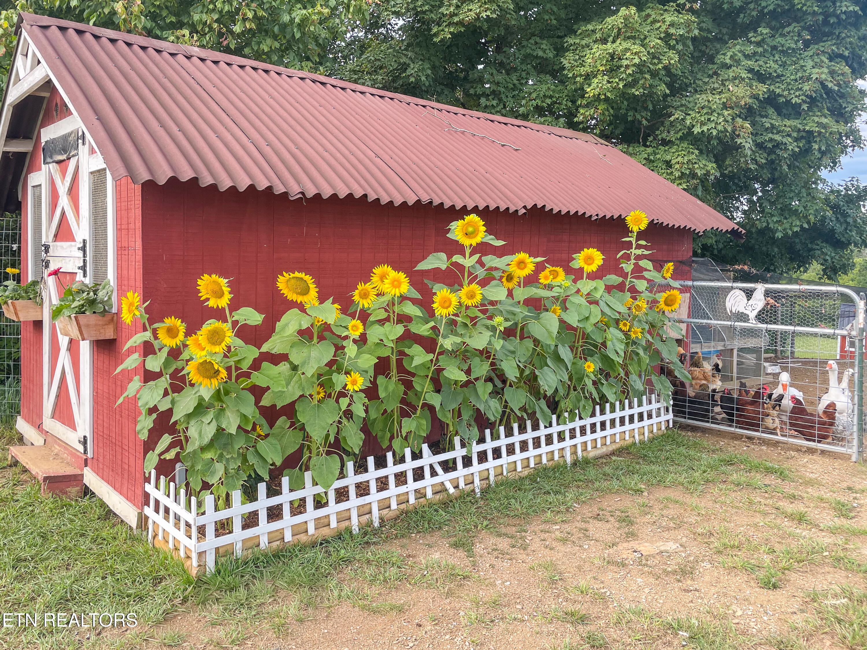 681 Grassy Creek Road Greeneville TN 37743