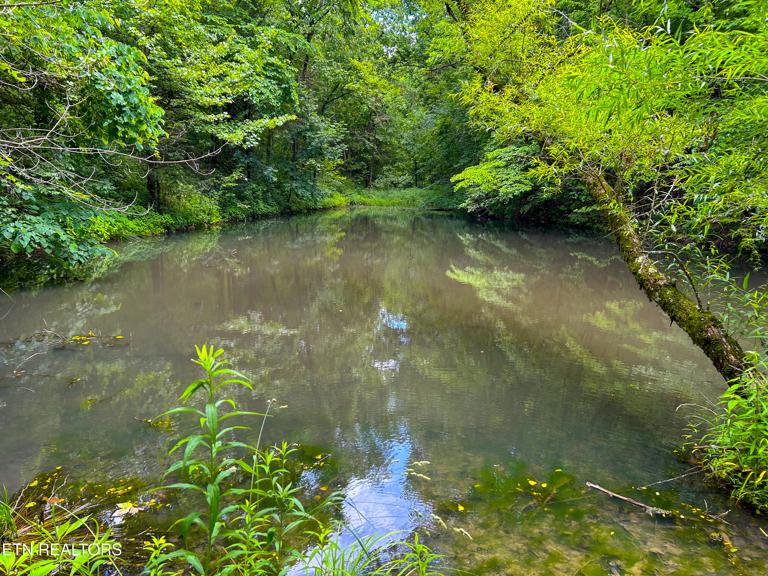 681 Grassy Creek Road Greeneville TN 37743