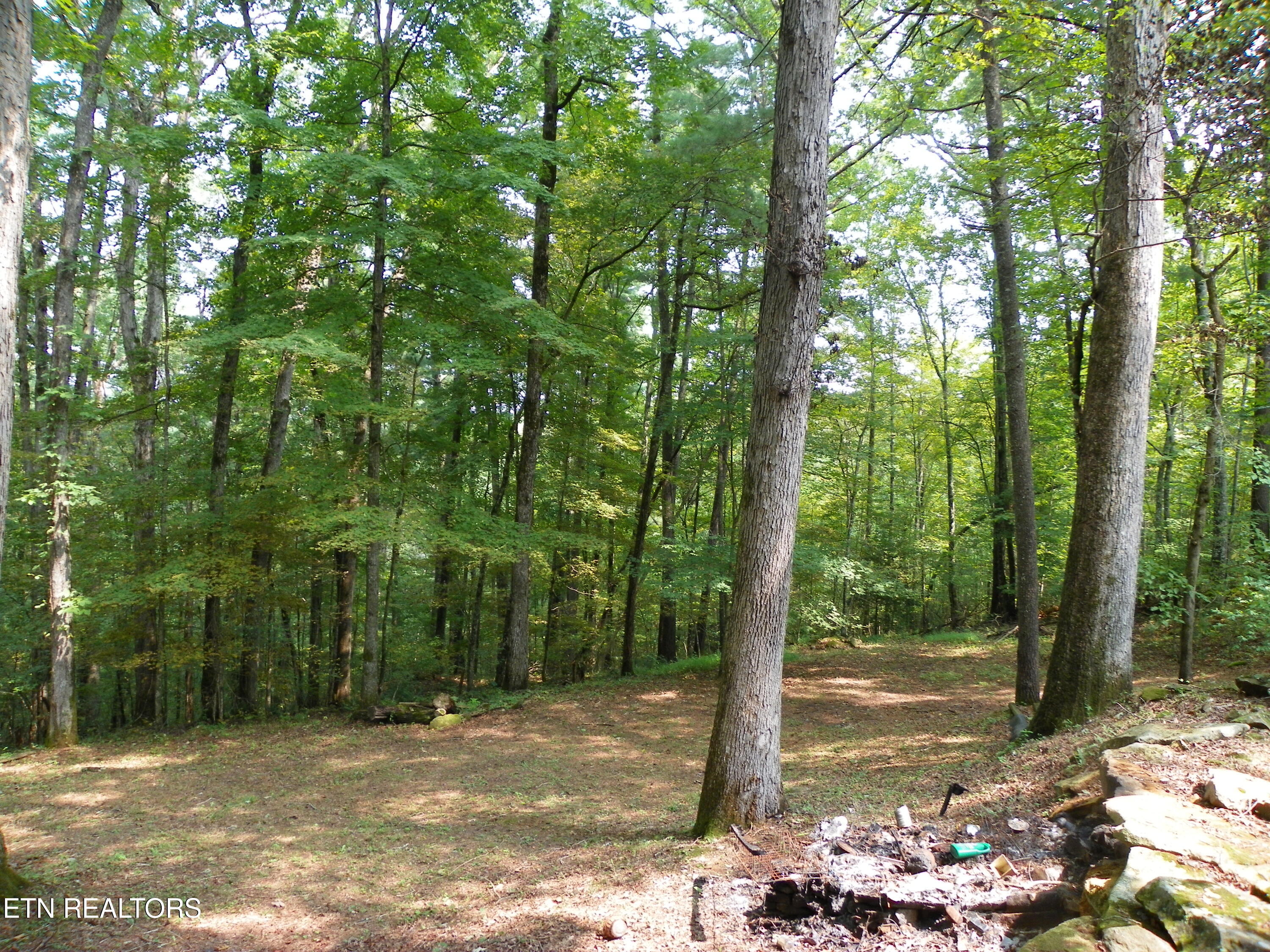 1555 Brown Creek Drive Crossville TN 38571