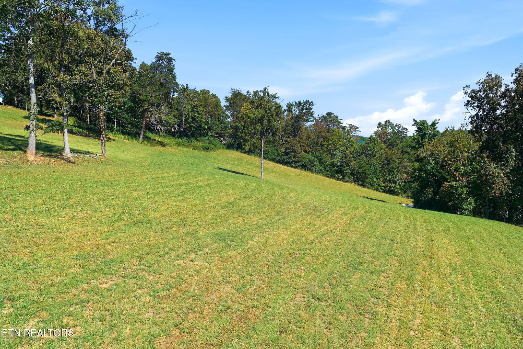 175 & 230 Johnson Lane Rocky Top TN 37769