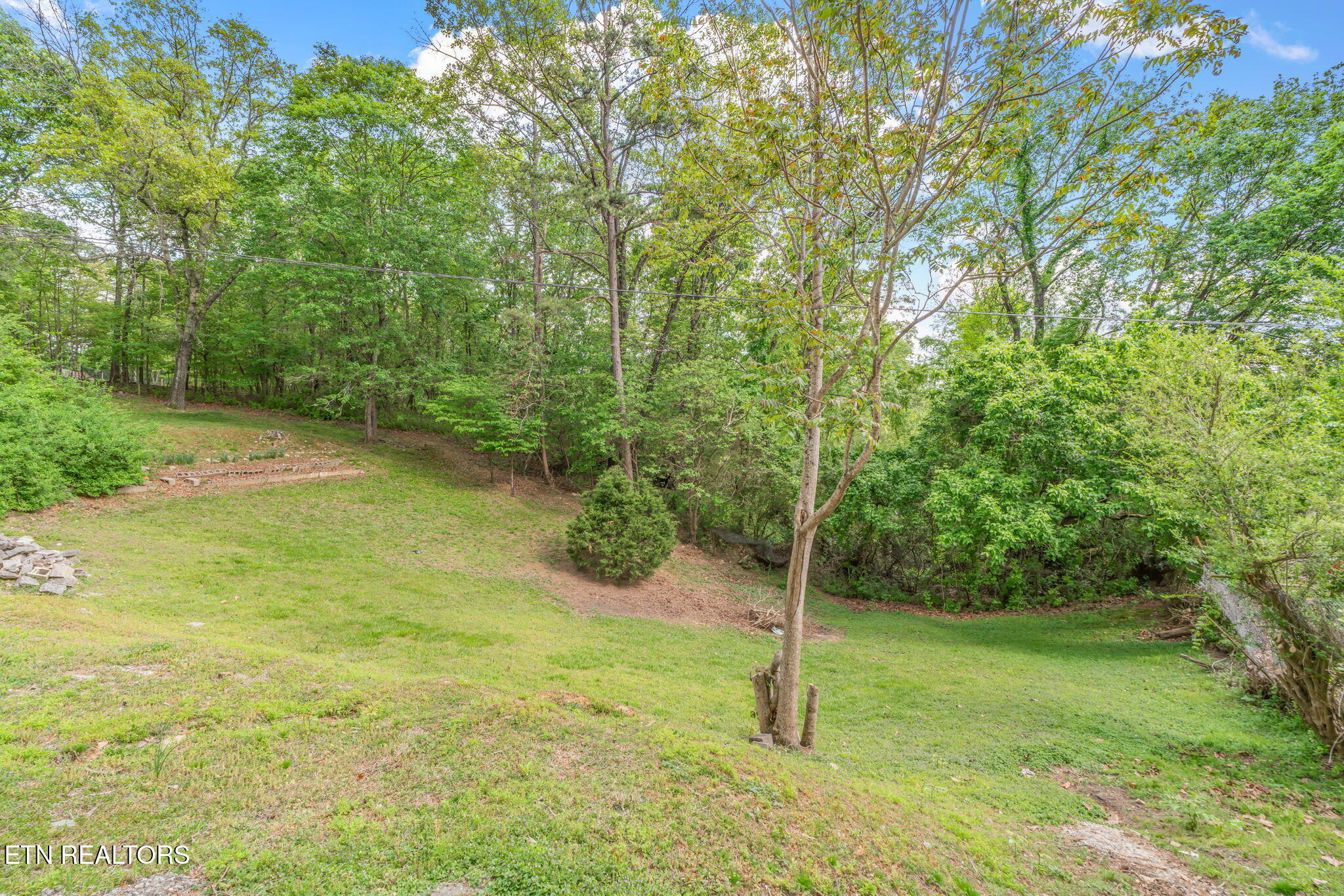 126 Hicks Lane Rockwood TN 37854