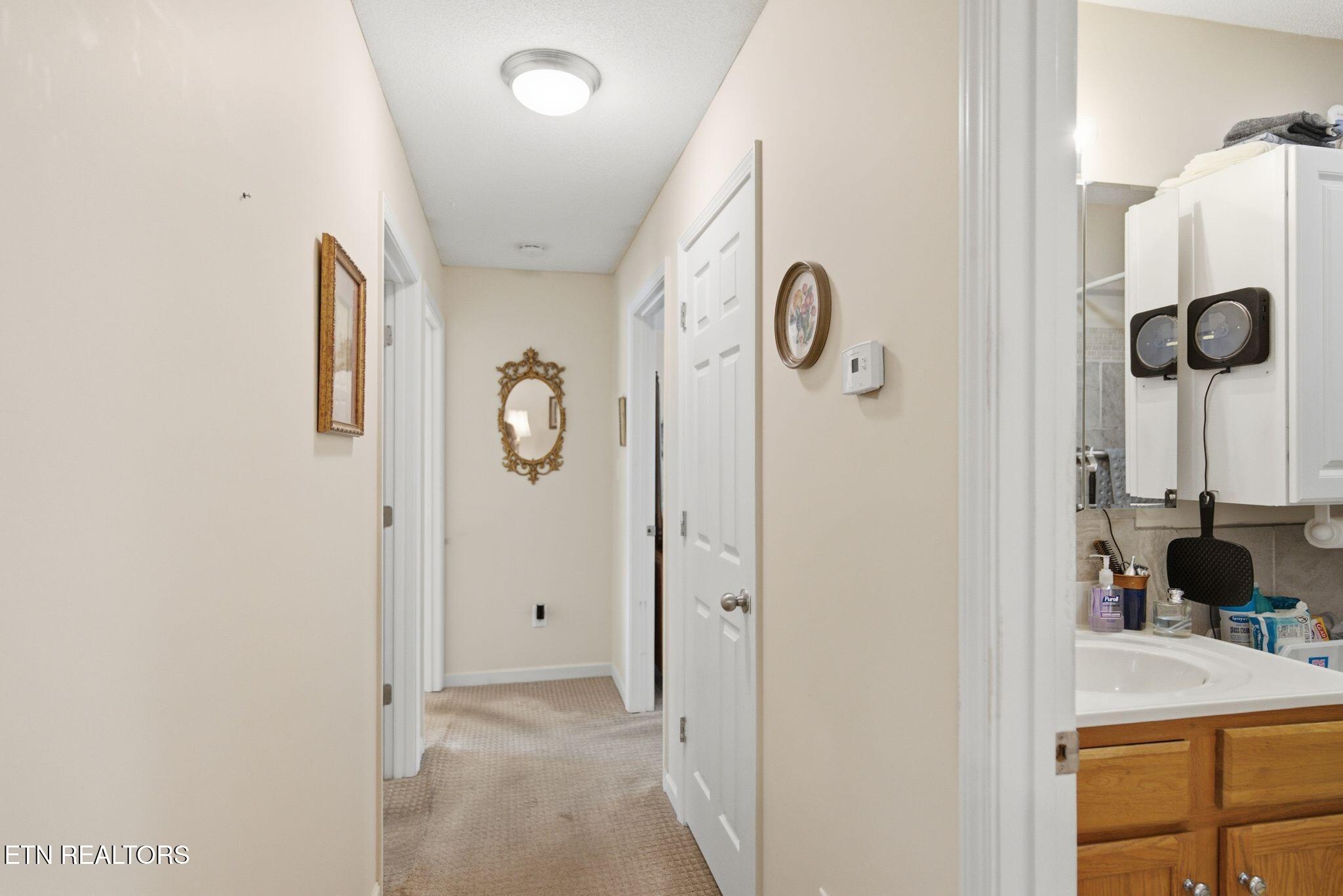 5115 Cedar Knoll Drive Corryton TN 37721