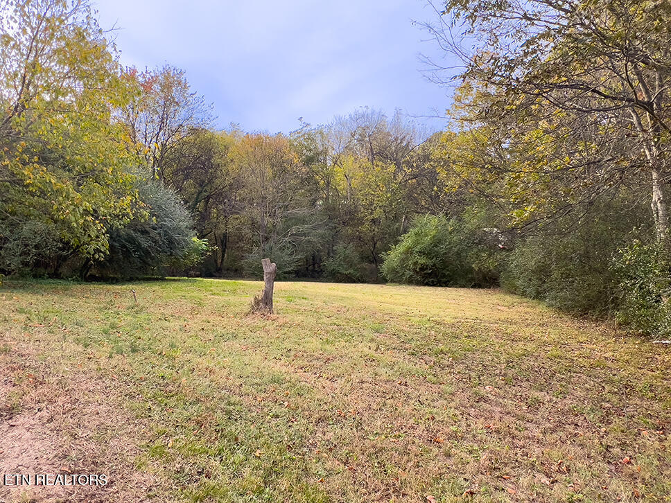 1202 Georgia Avenue Athens TN 37303