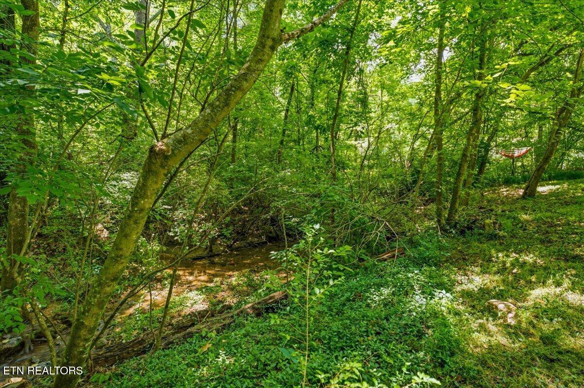 2319 Woods Smith Road Knoxville TN 37921