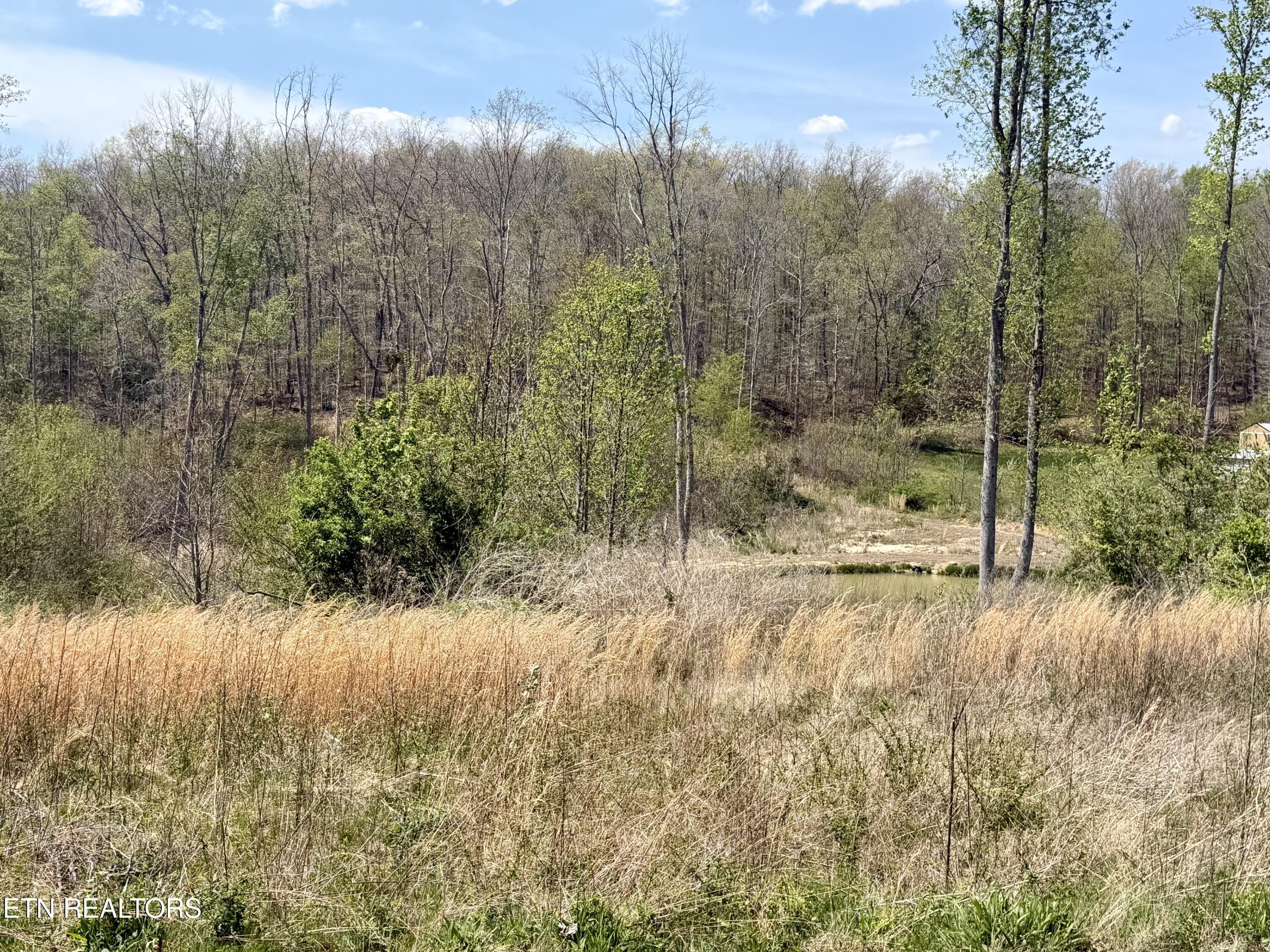 2557 Huntsville Hill Road Helenwood TN 37755