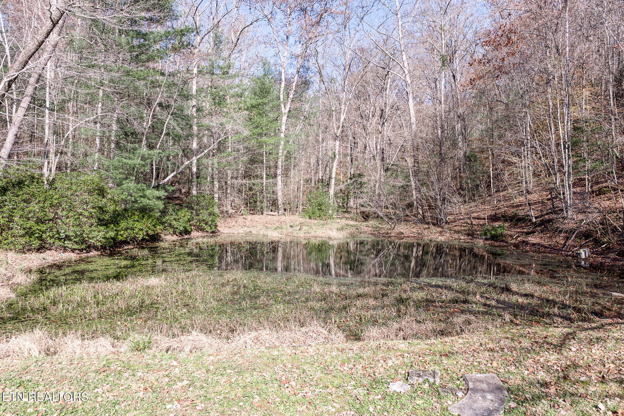5334 Morgan County Highway Lancing TN 37770